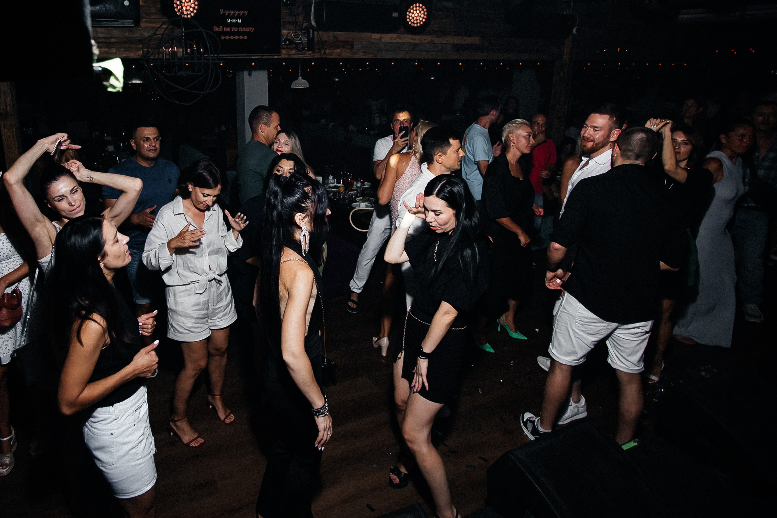 Чайка_на_пляже_Ялта_25.07.2024. Аминов Руслан | Фотограф