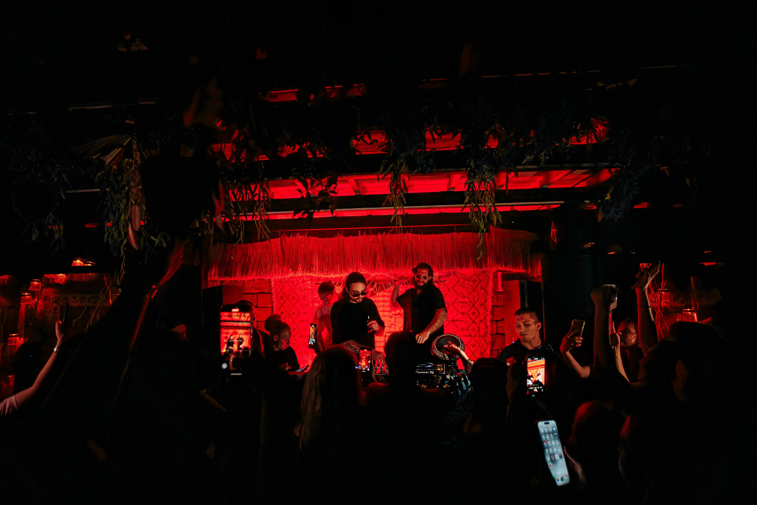 «Karena Makarena"_Чайка на пляже_ Ялта_6.06.2025 г. Аминов Руслан | Фотограф