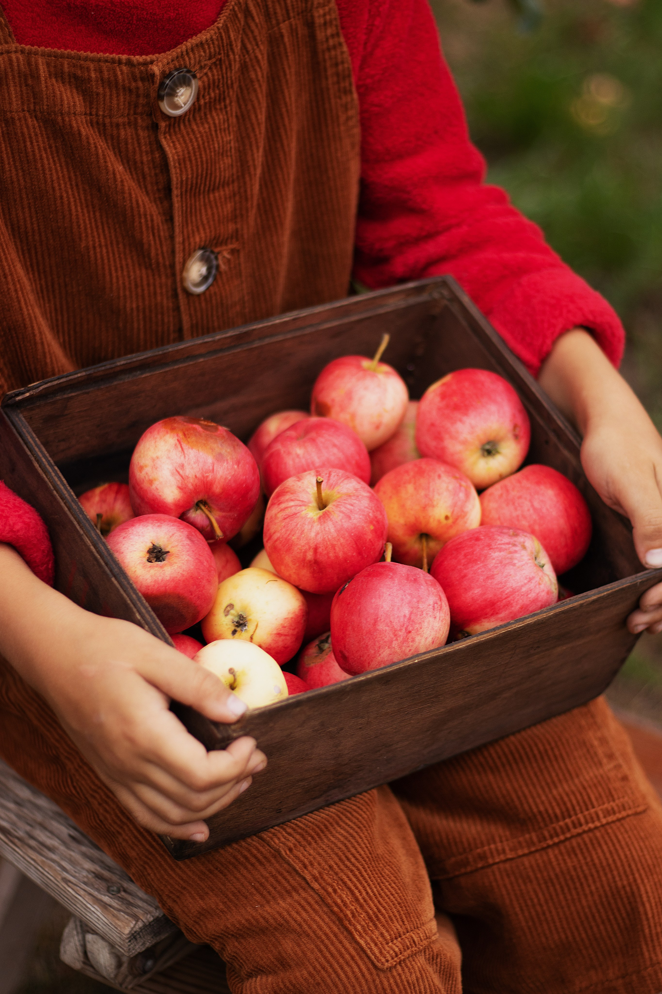 Семейные и дети. Контент-фотограф в Калининграде (Москве) Наталья Кеворкова