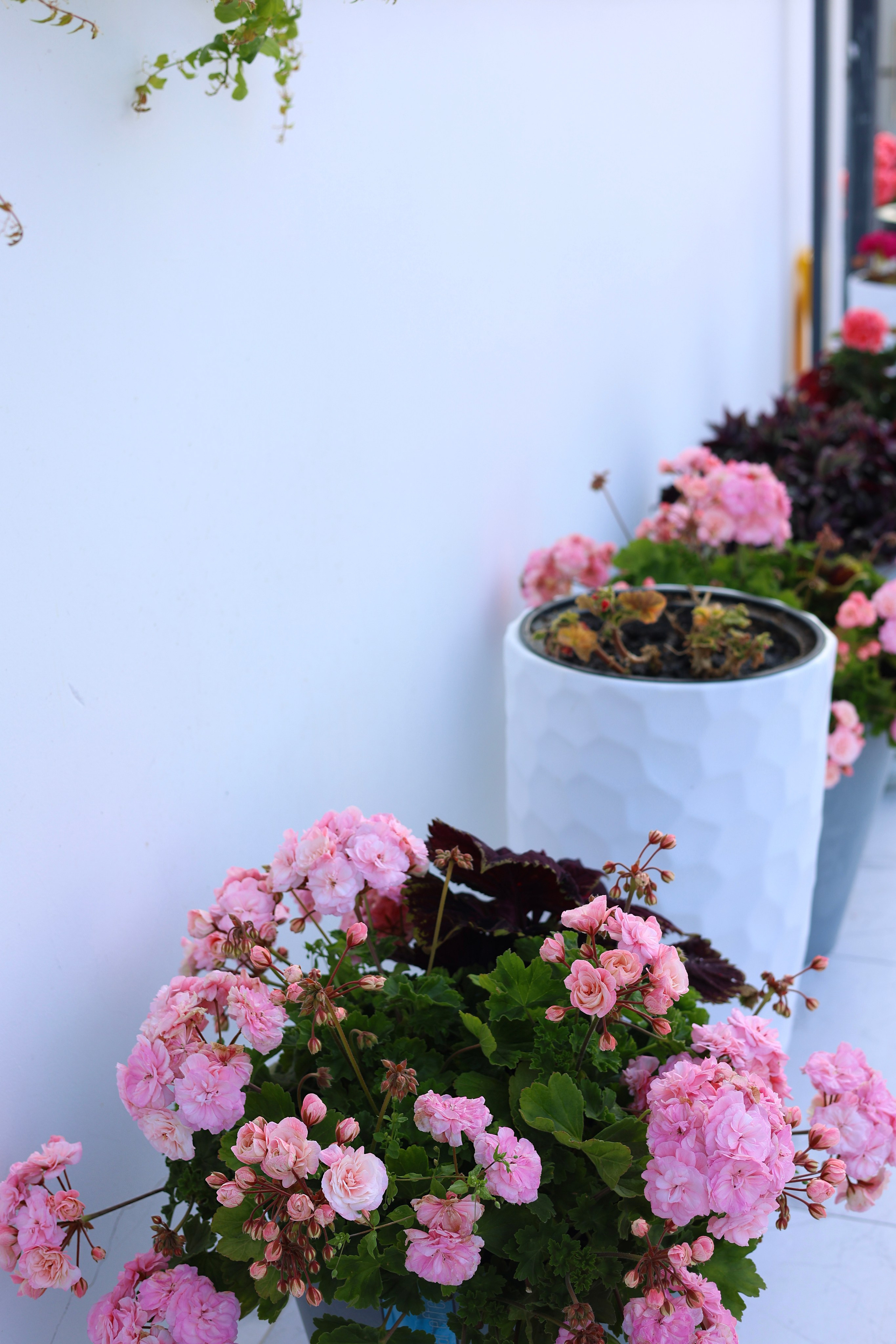 Портреты. Семейный и портретный фотограф в Краснодарском крае, Ростовской области и Москве