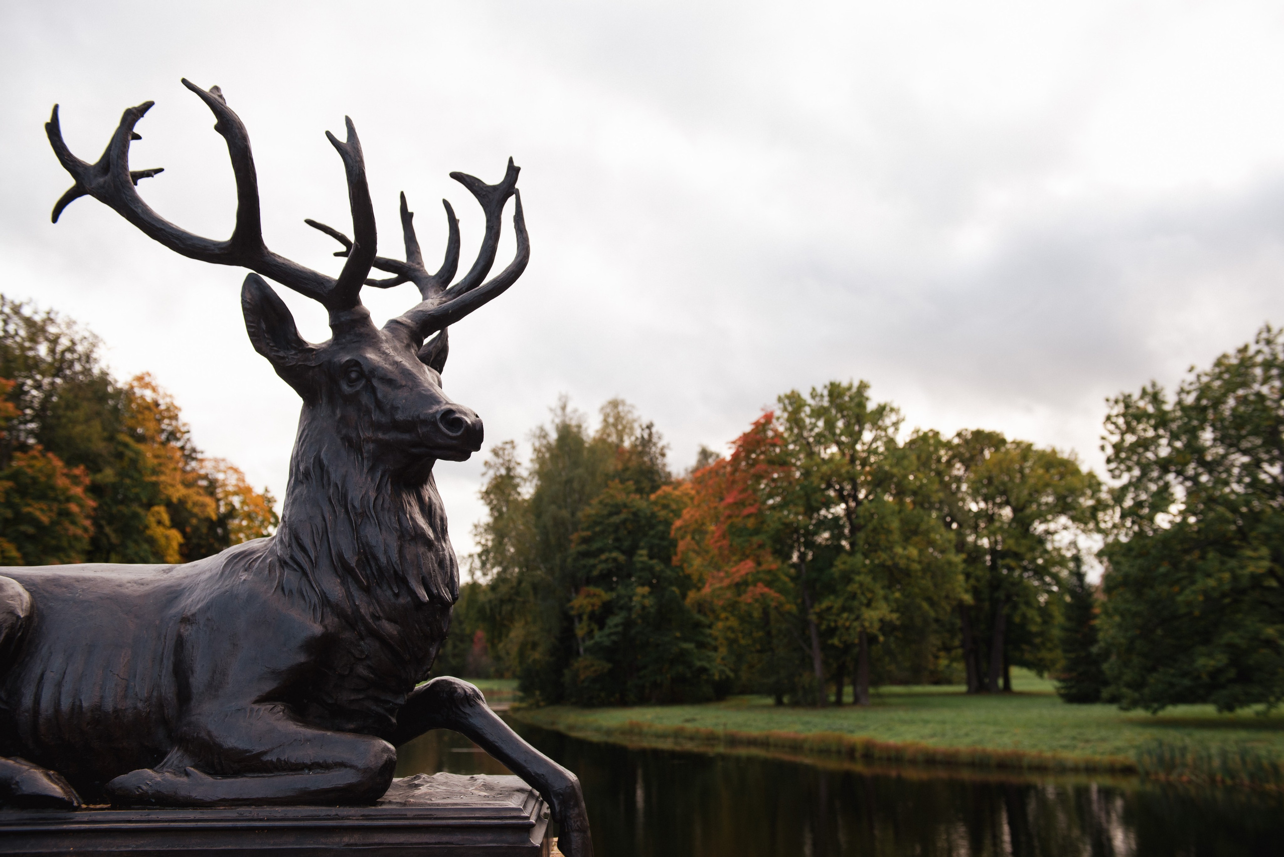 Павловский парк. Портретный и архитектурный фотограф в Москве и Санкт-Петербурге