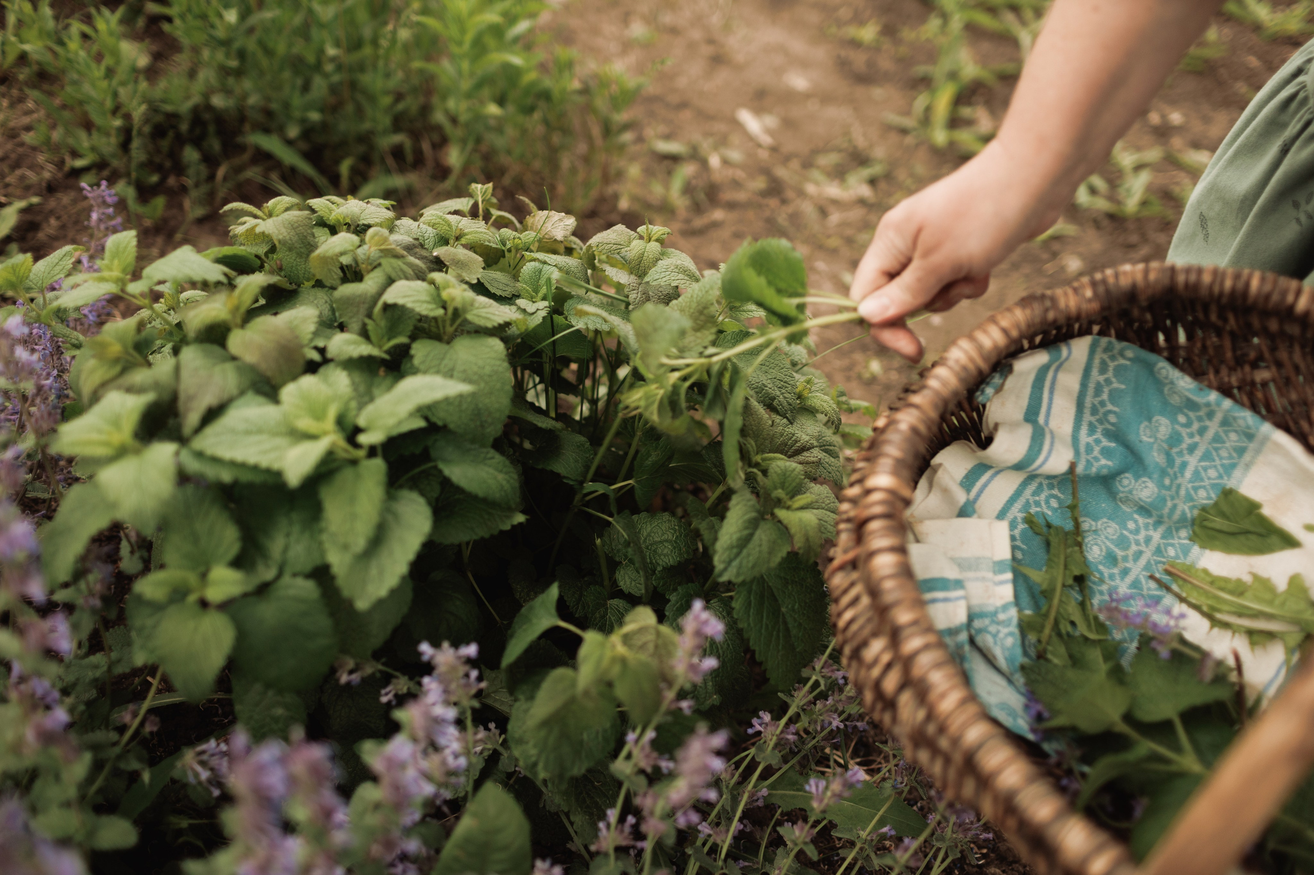 Вита. Портретный и свадебный фотограф в Белгороде Глухова Кристина