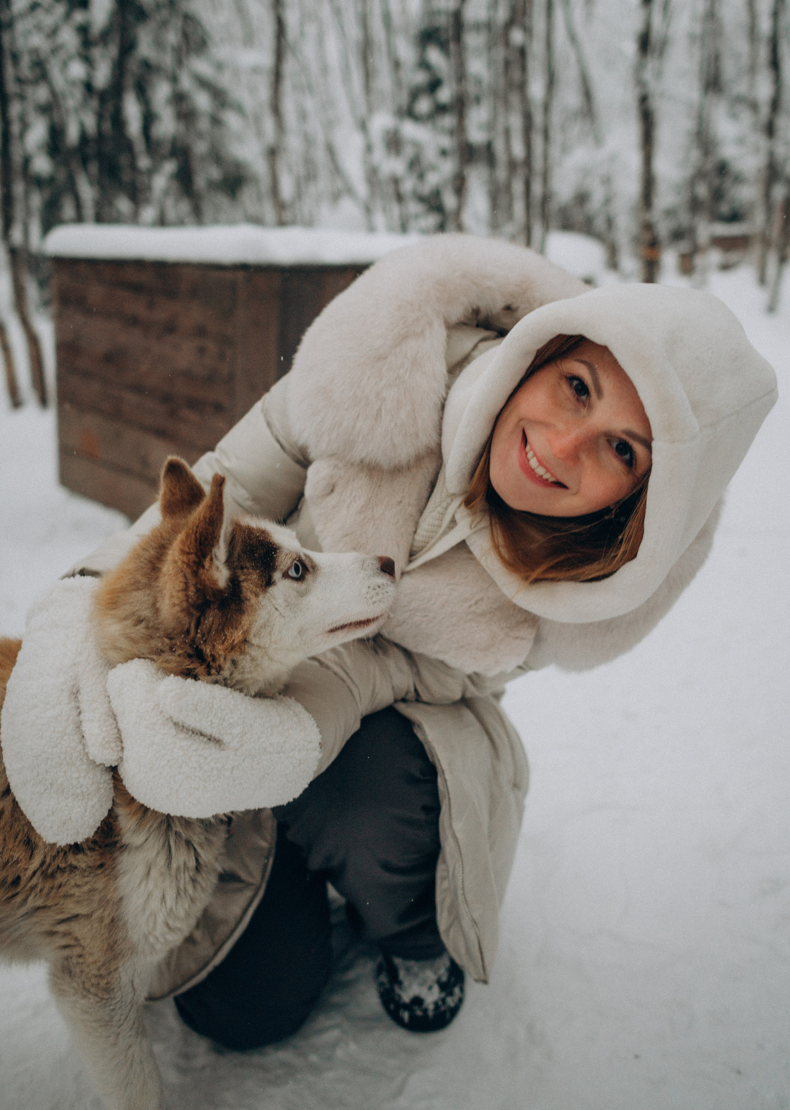 Хаски Терапия. Фотограф Наталья Могилевская Мурманск Териберка Сейдозеро Рыбачий