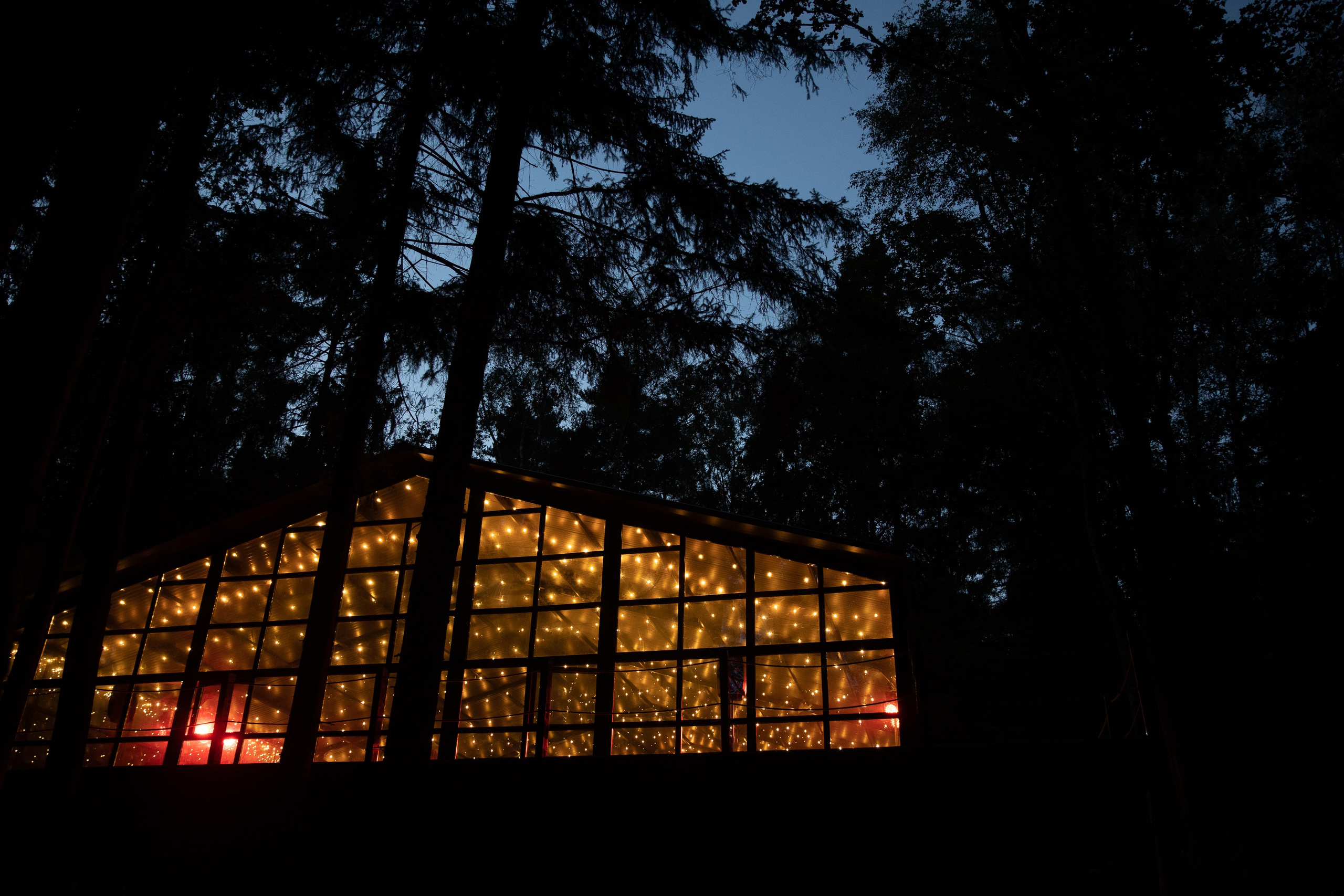 Anastasya/Anton. Свадебный фотограф Павел Князев