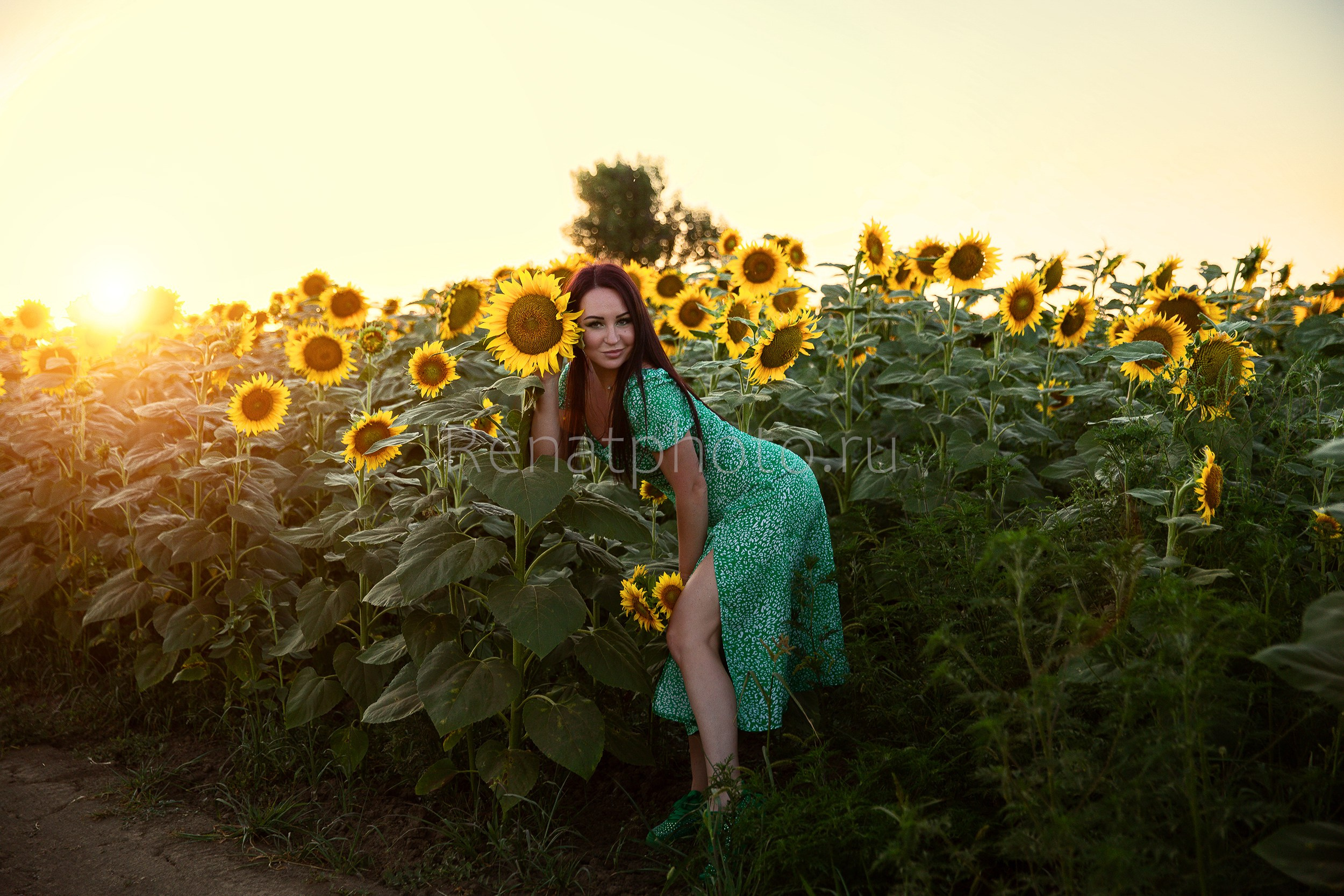 Фотосессия в цветущих полях. Профессиональная фотосъёмка интерьеров, предметная фотосессия еды для меню г. Анапа
