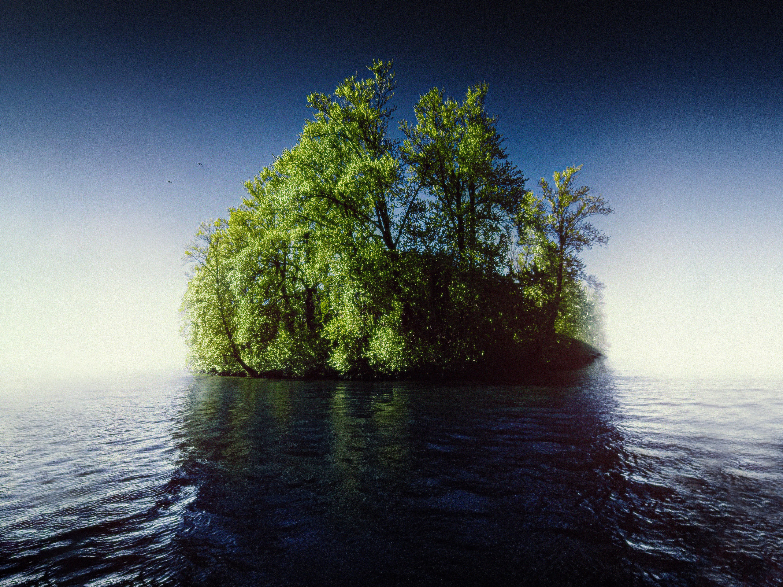 Внутренний свет / Inner light - фотопроект Сафонова Владислава