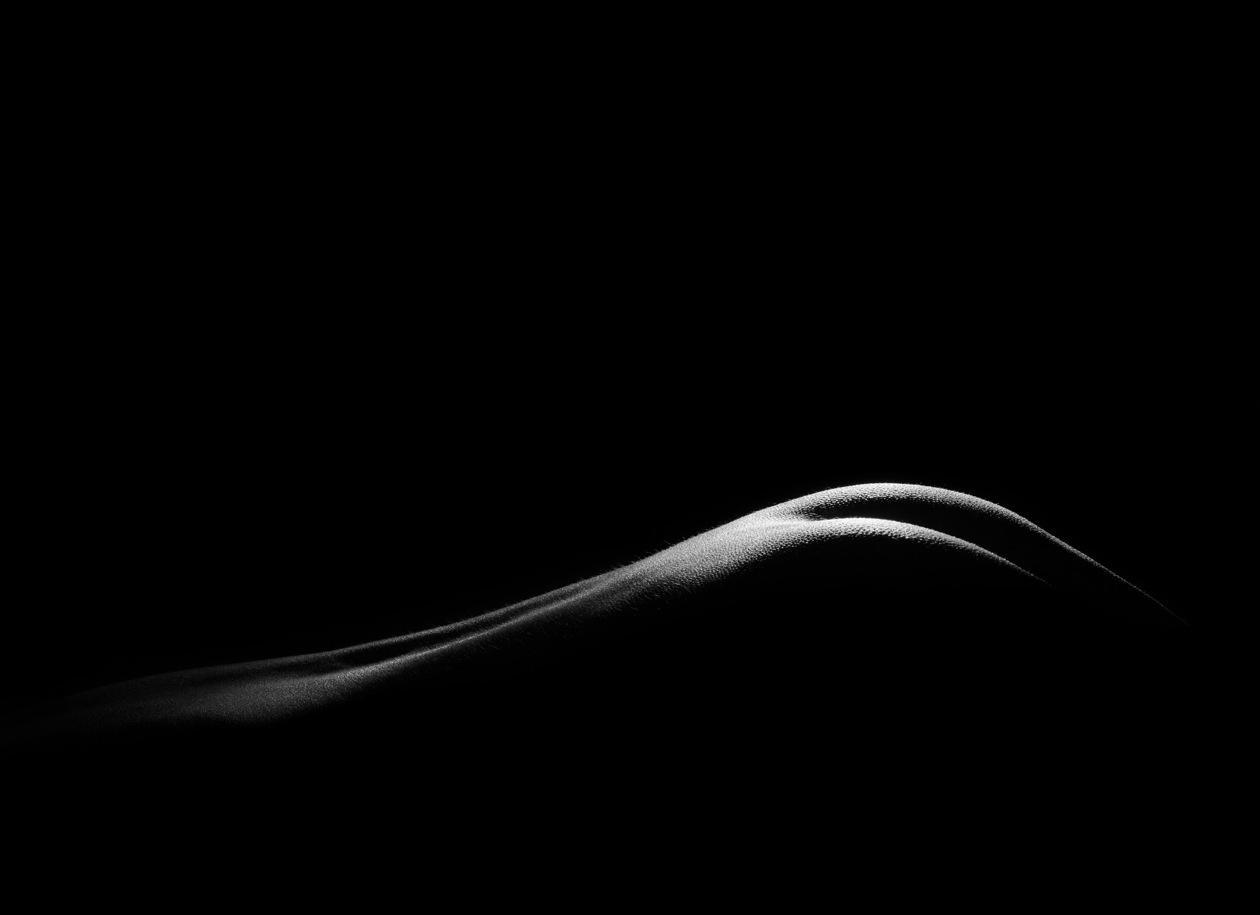 Профессиональная портретная съемка.