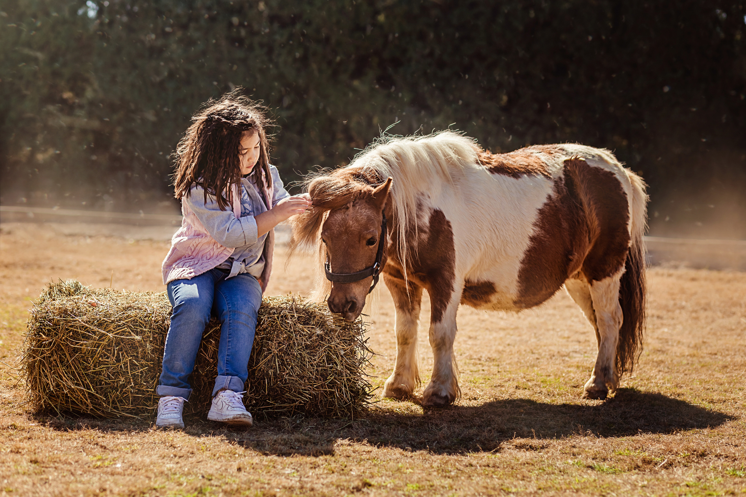 wonderful day at&nbsp;the farm in&nbsp;Urla