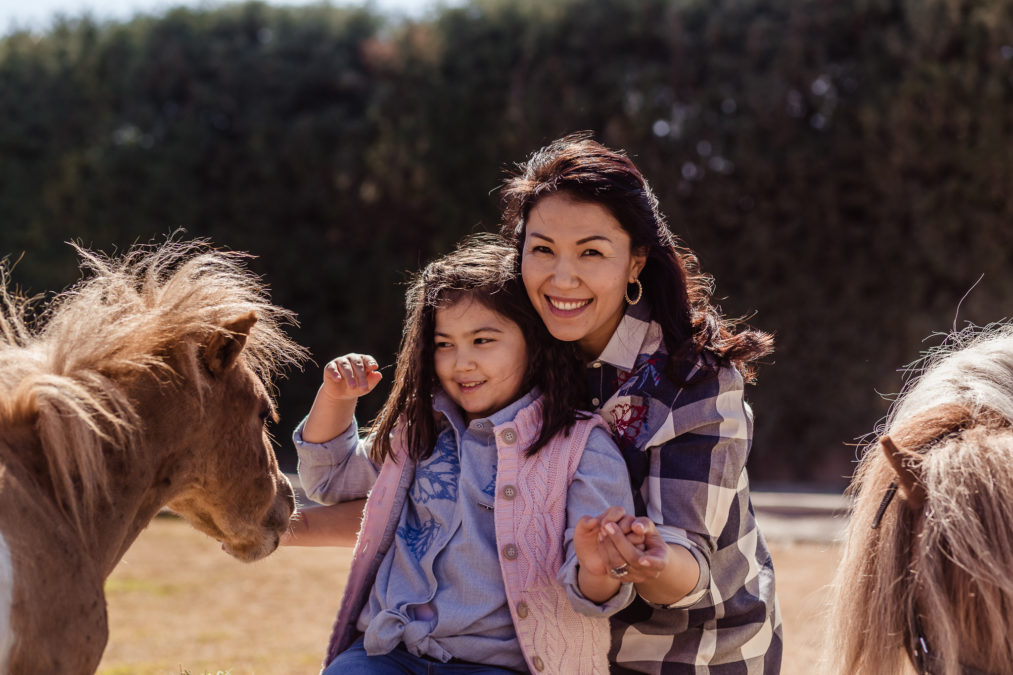 Wonderful day at the farm in Urla. Professional family and children’s photographer in Izmir Irina Eron