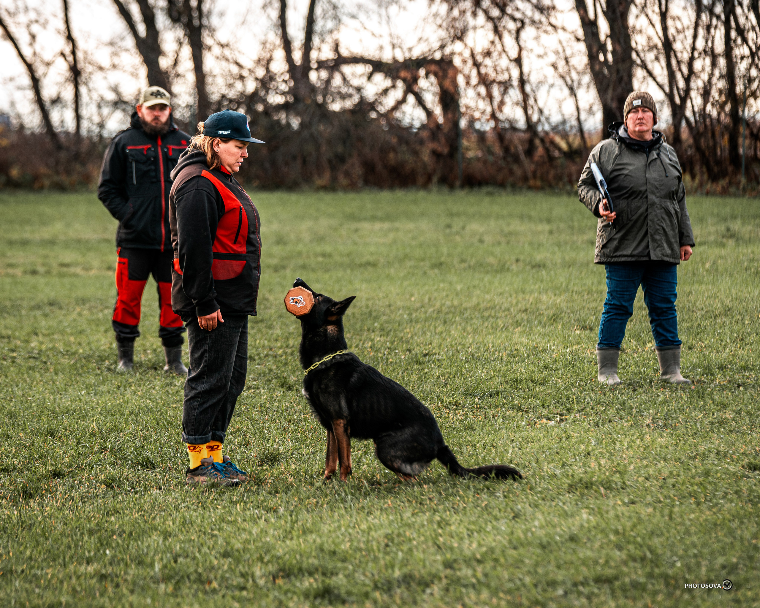 МЫ — КОМАНДА (соревнования) OKD, BH, IBGH, IGP. Фотограф-анималист, семейный фотограф в Москве и Подмосковье. Фотосъёмка кинологических дисциплин