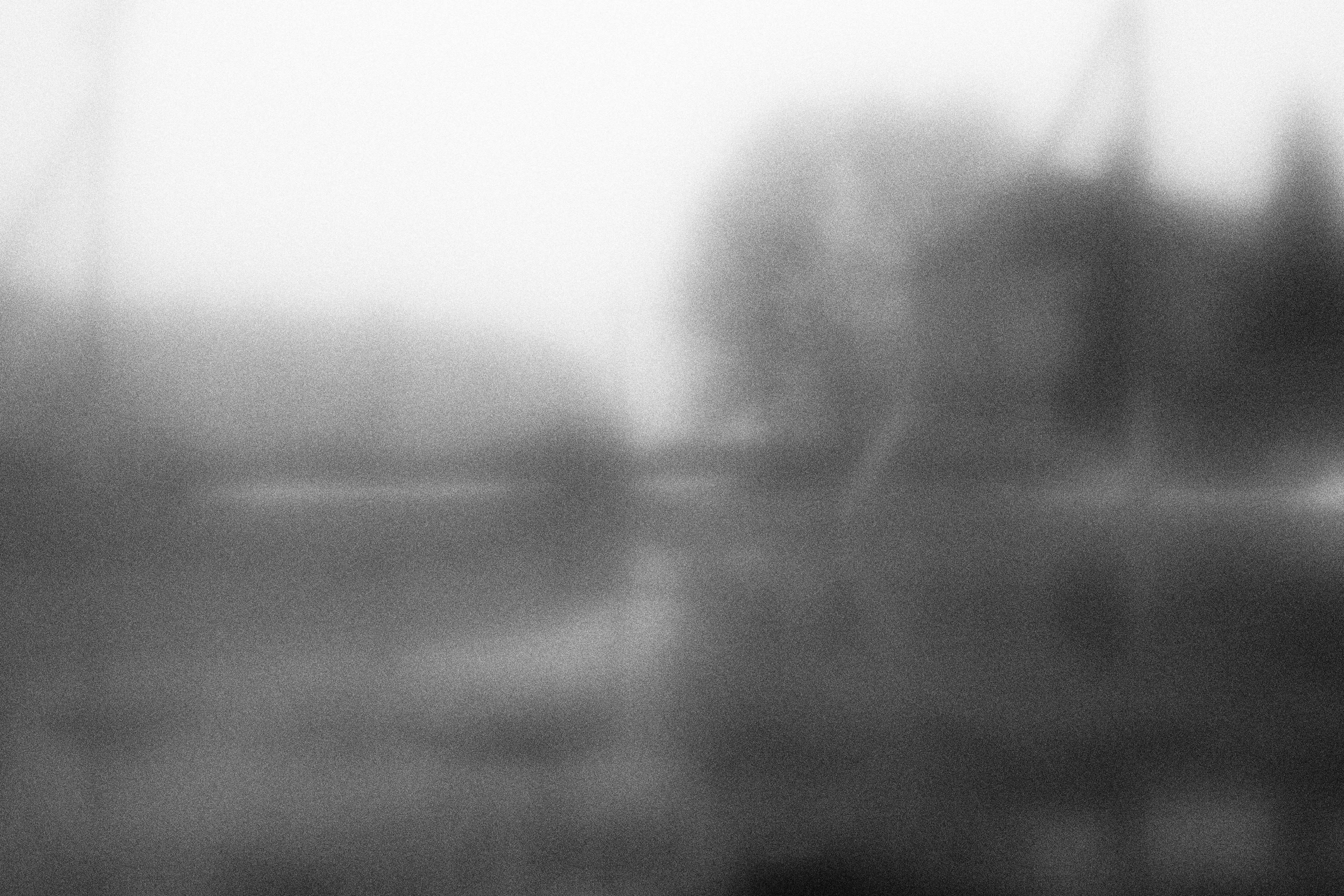 «Видеть. Чувствовать. Сохранять»