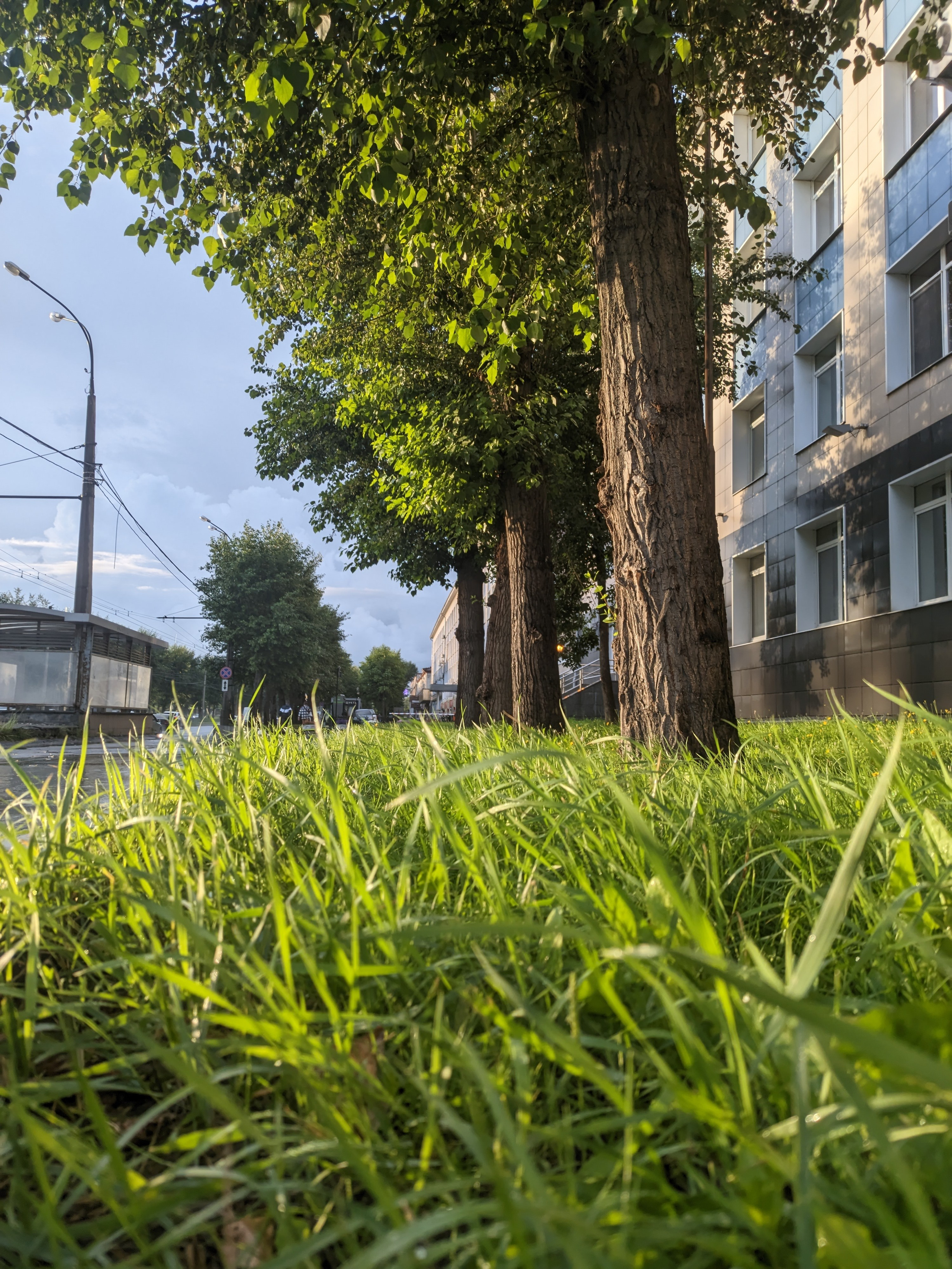 Солнечный. Фотограф в Санкт-Петербурге Березовский Даниил