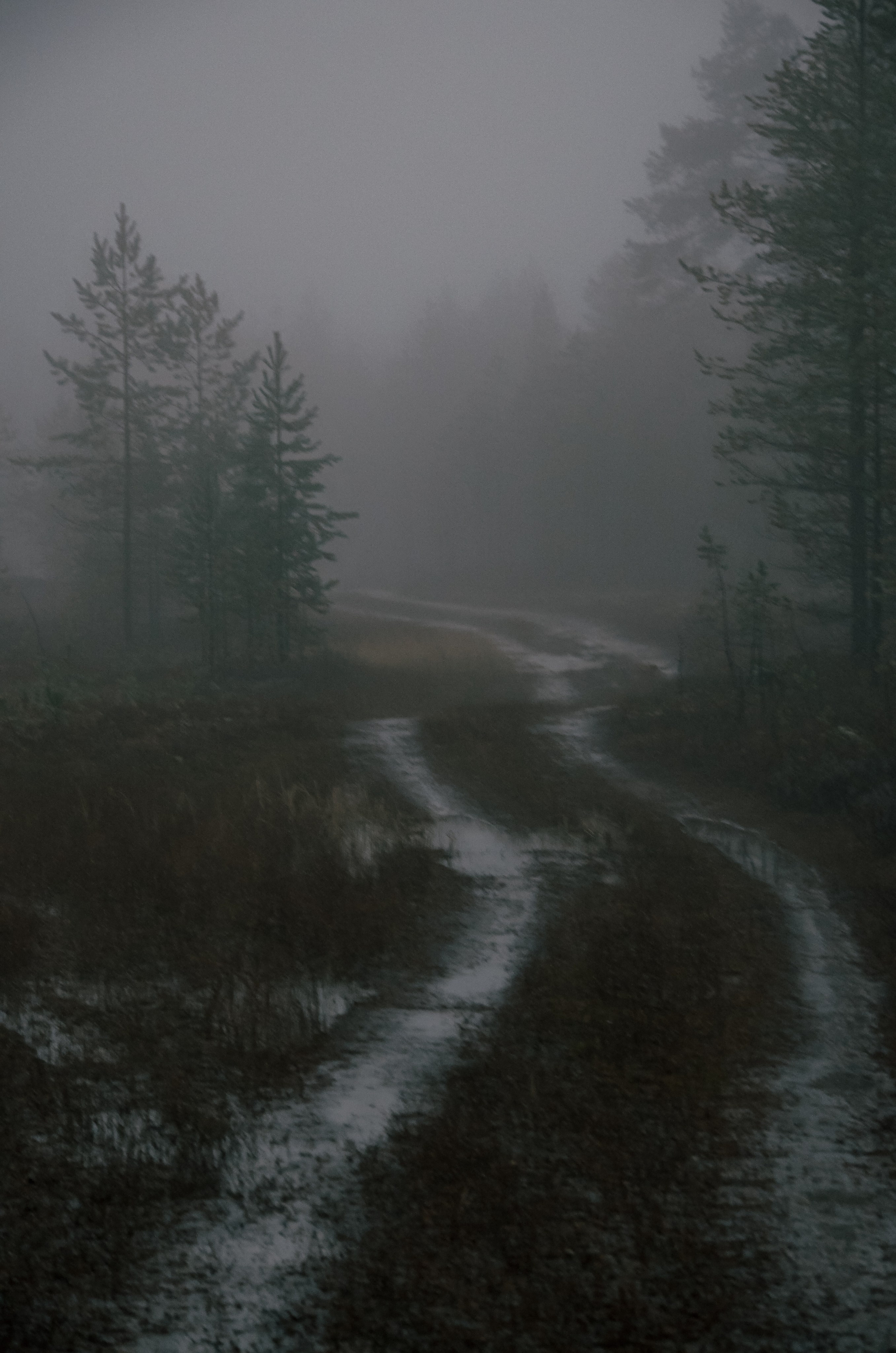 Тайга. Фотография — это миг, который фиксирует вечность