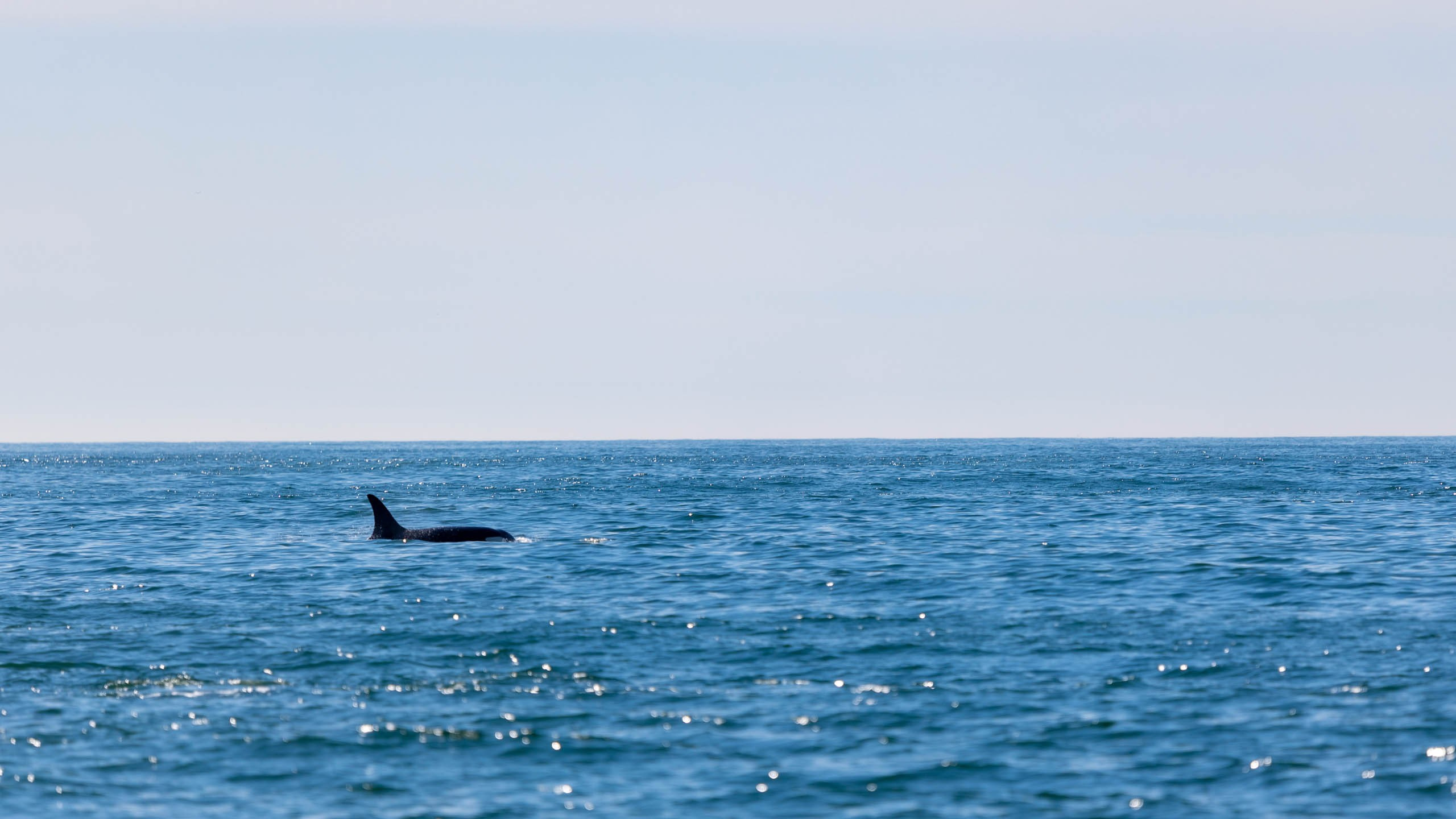 2023 07 Камчатка. Фотографии