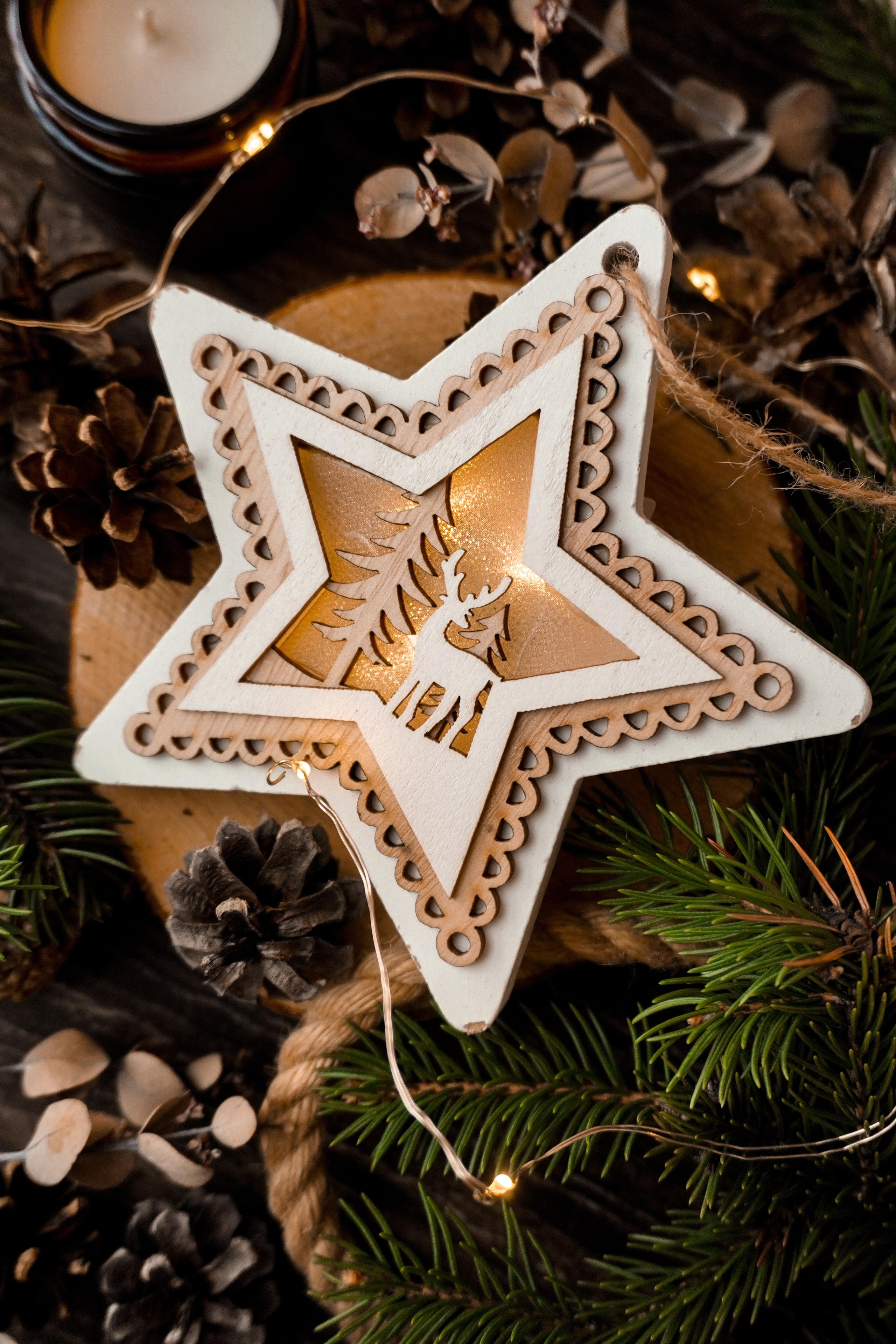 Новогодние украшения. Кузнецова Мария — профессиональный фотограф в Санкт-Петербурге | Предметная фотосъёмка, модельные тесты, актёрское портфолио, концерты