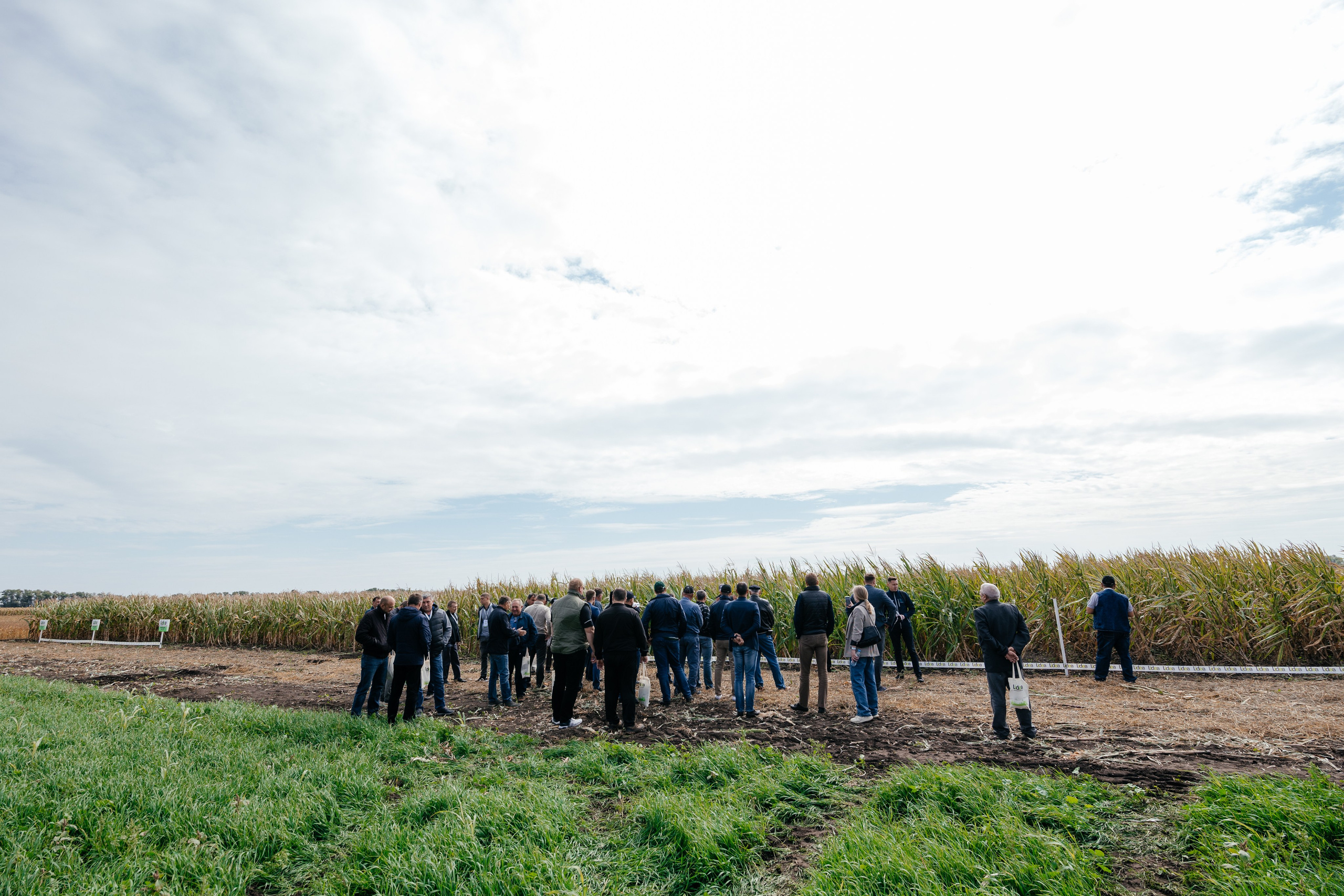 День поля. Фотограф Крохин Олег