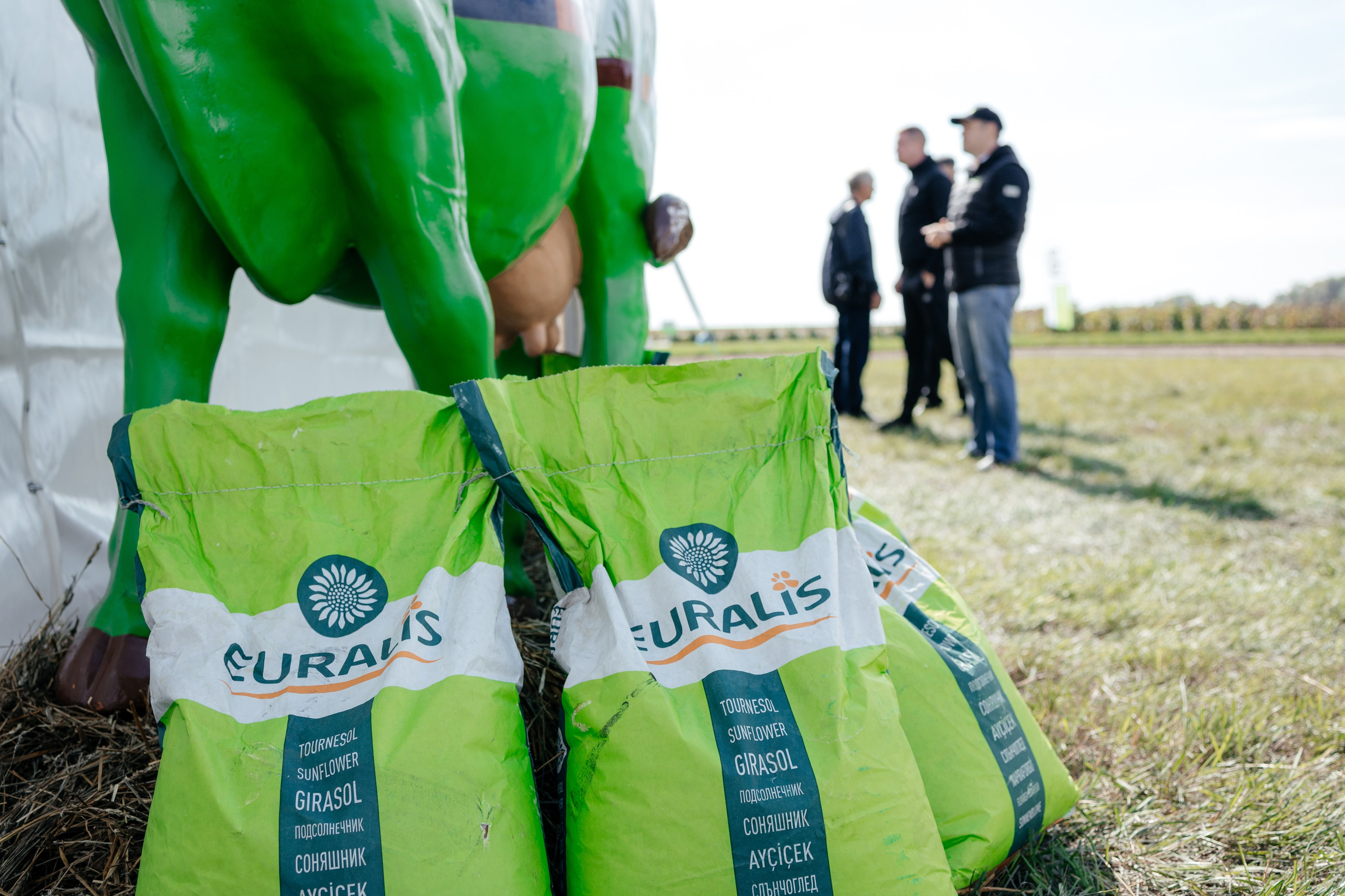 День поля. Фотограф Крохин Олег