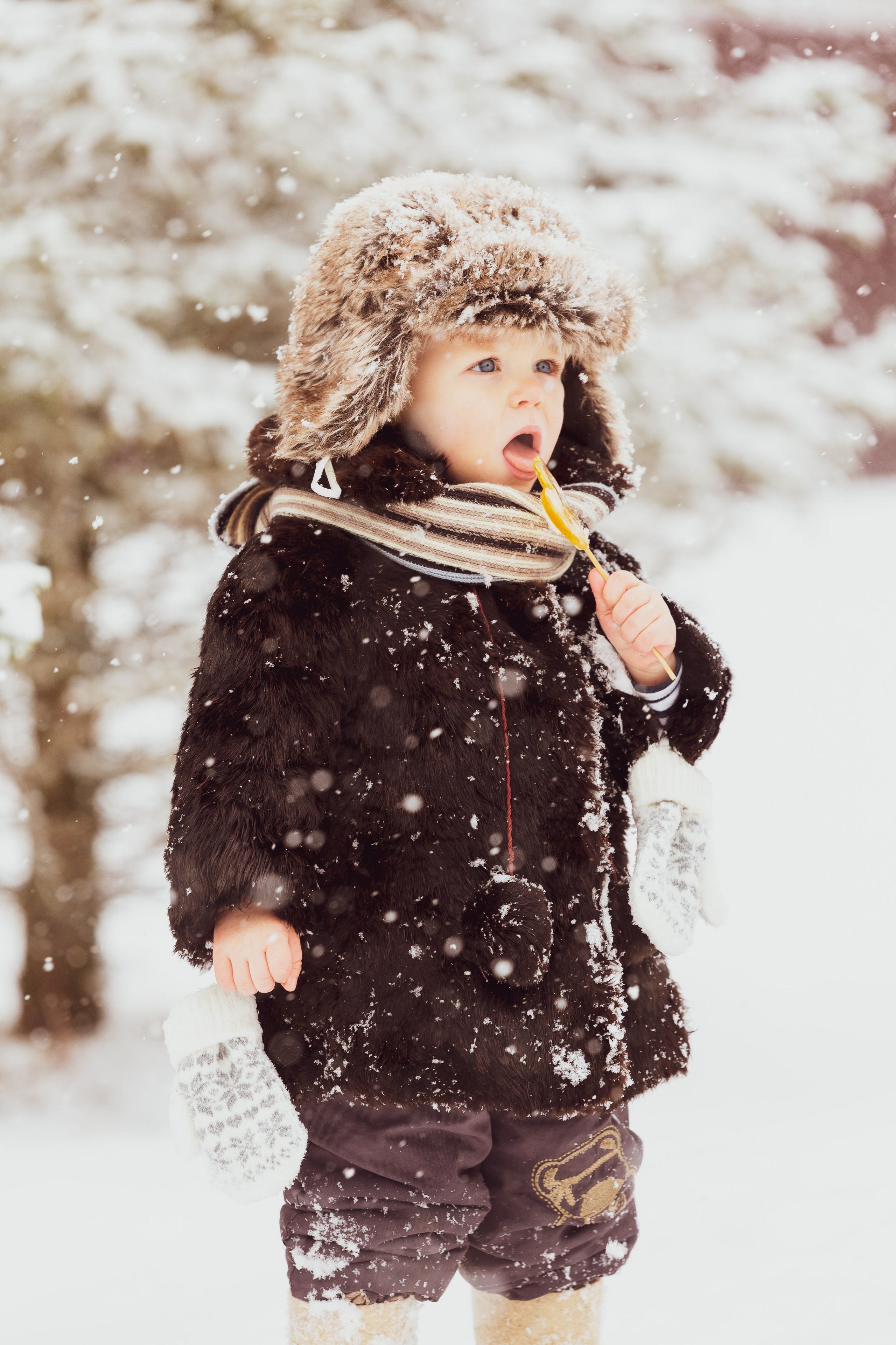 Зимняя сказка. Предметный и репортажный фотограф в Санкт-Петербурге Александр Е