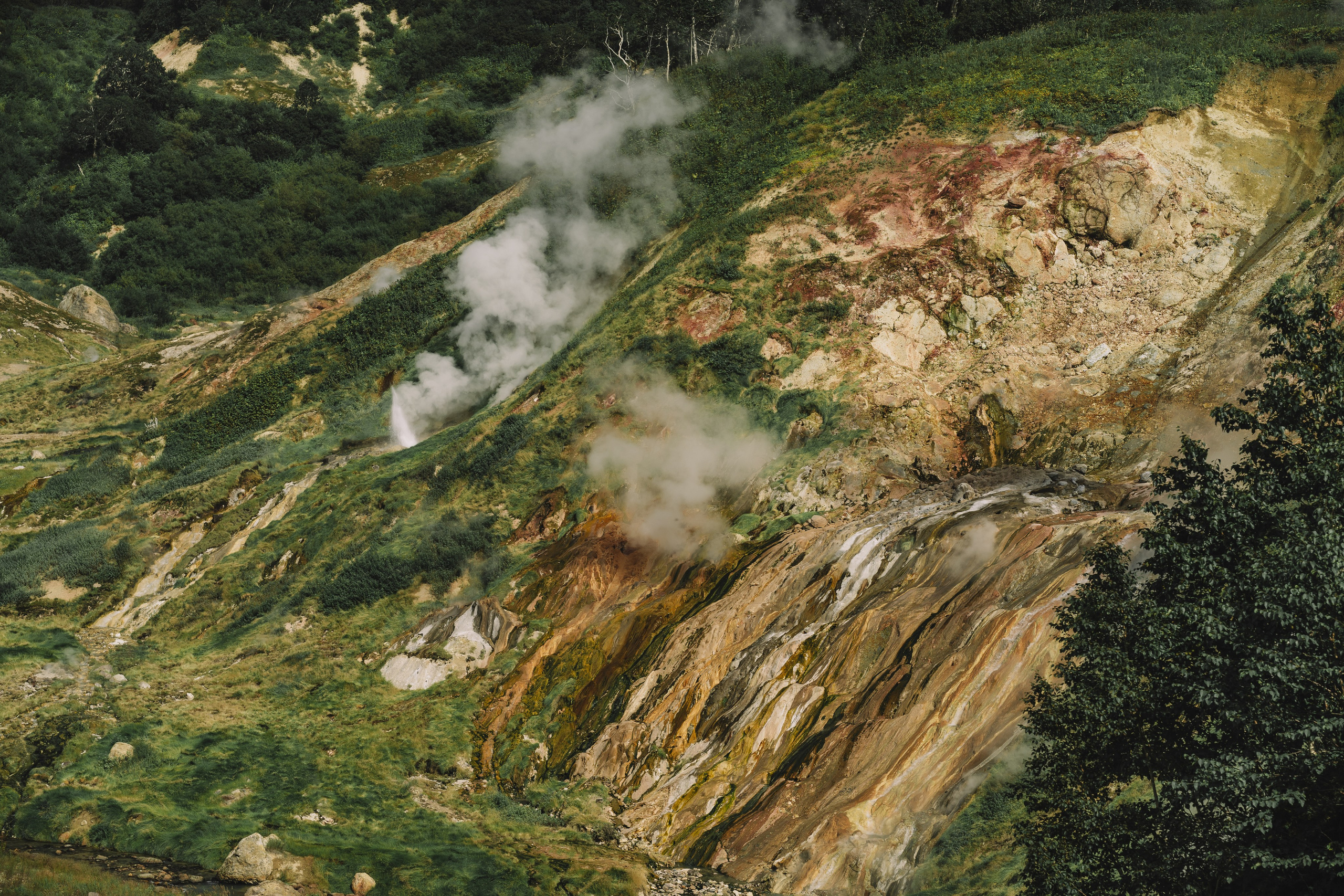 Продажа фотографий. Свадебный и love story фотограф в Петропавловске-Камчатском Алексей Глебов