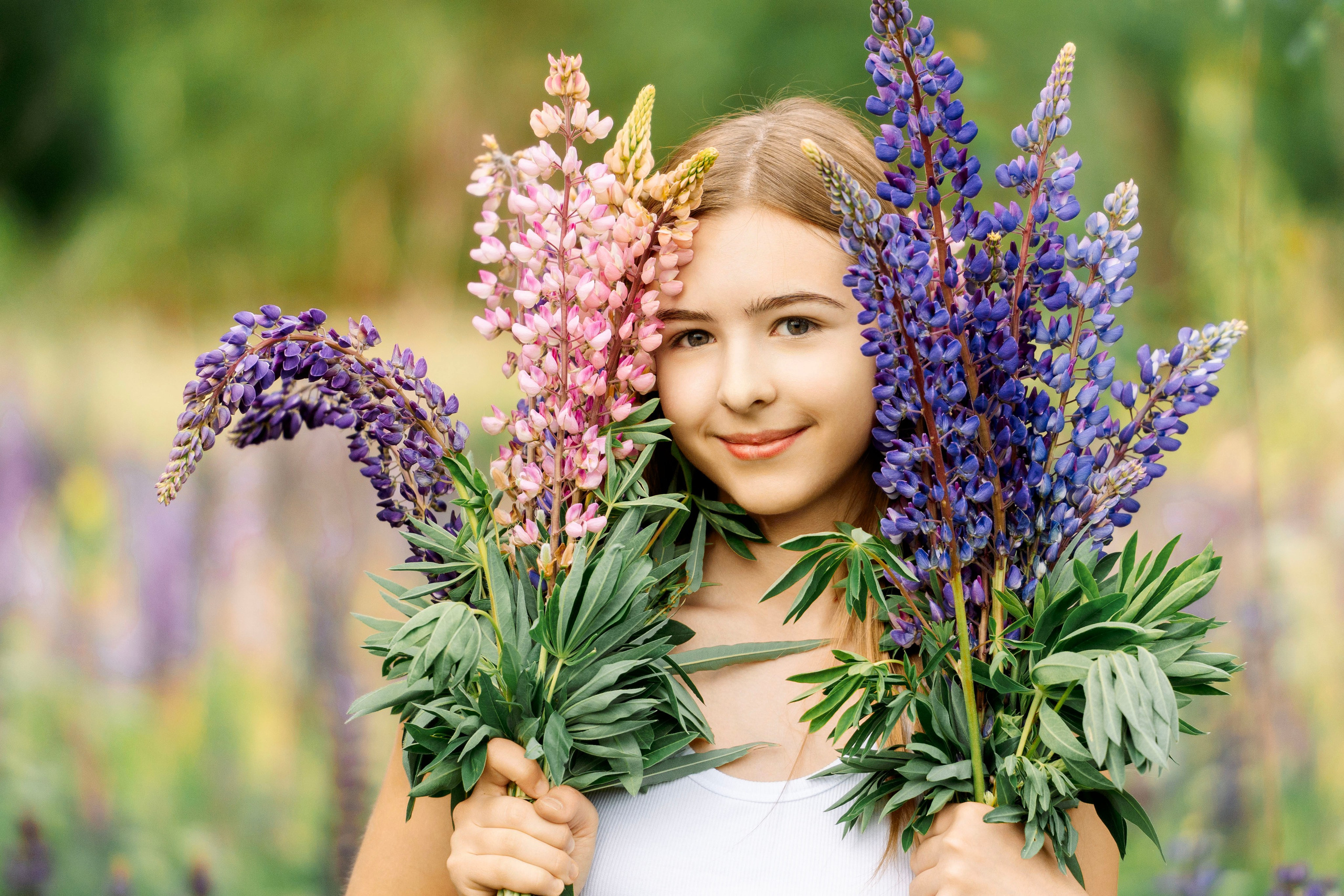 Люпины. Фотограф Юлия Попова