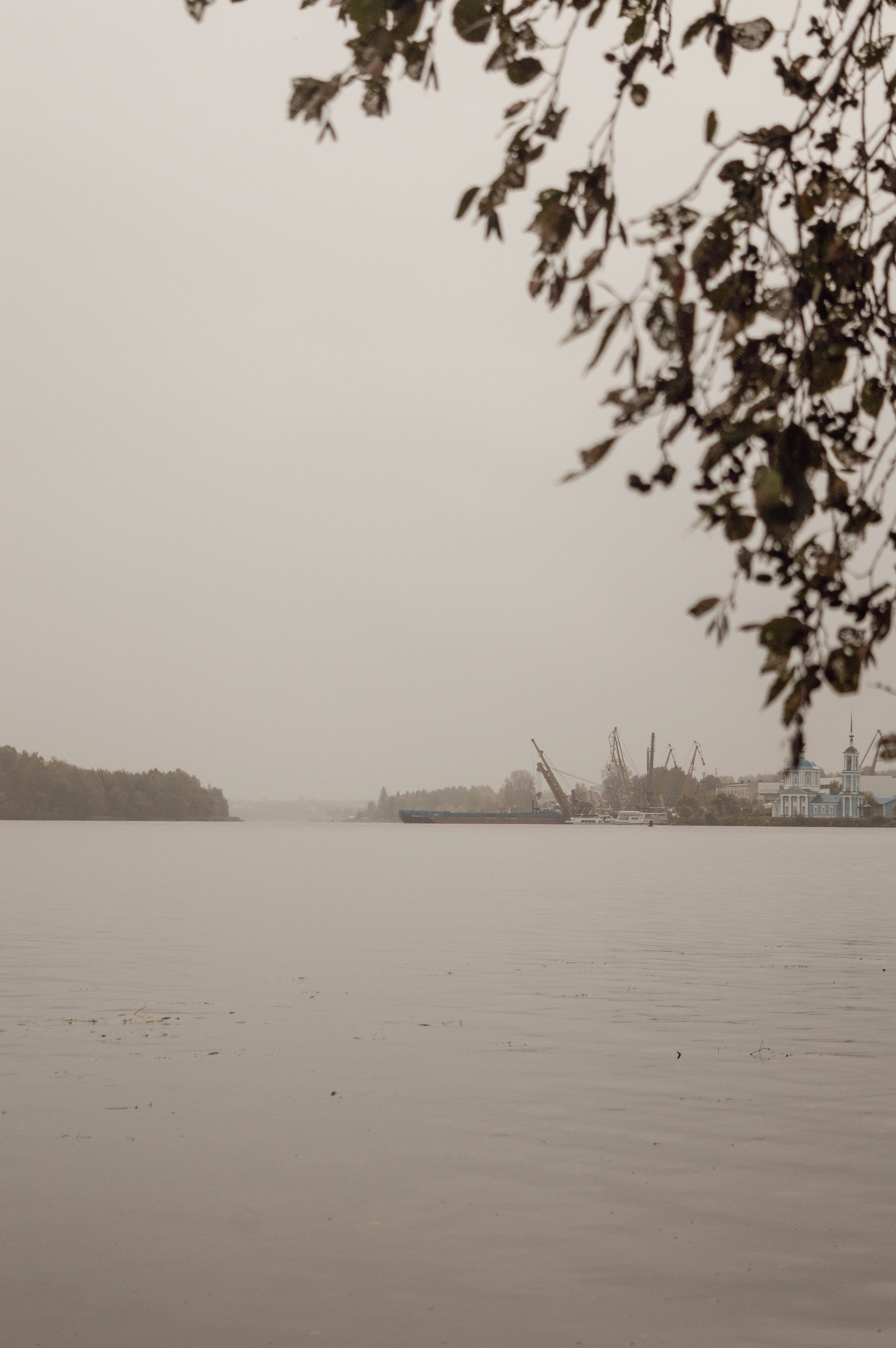 Weekend в лесу. Фотограф Анастасия Лощакова в Москве