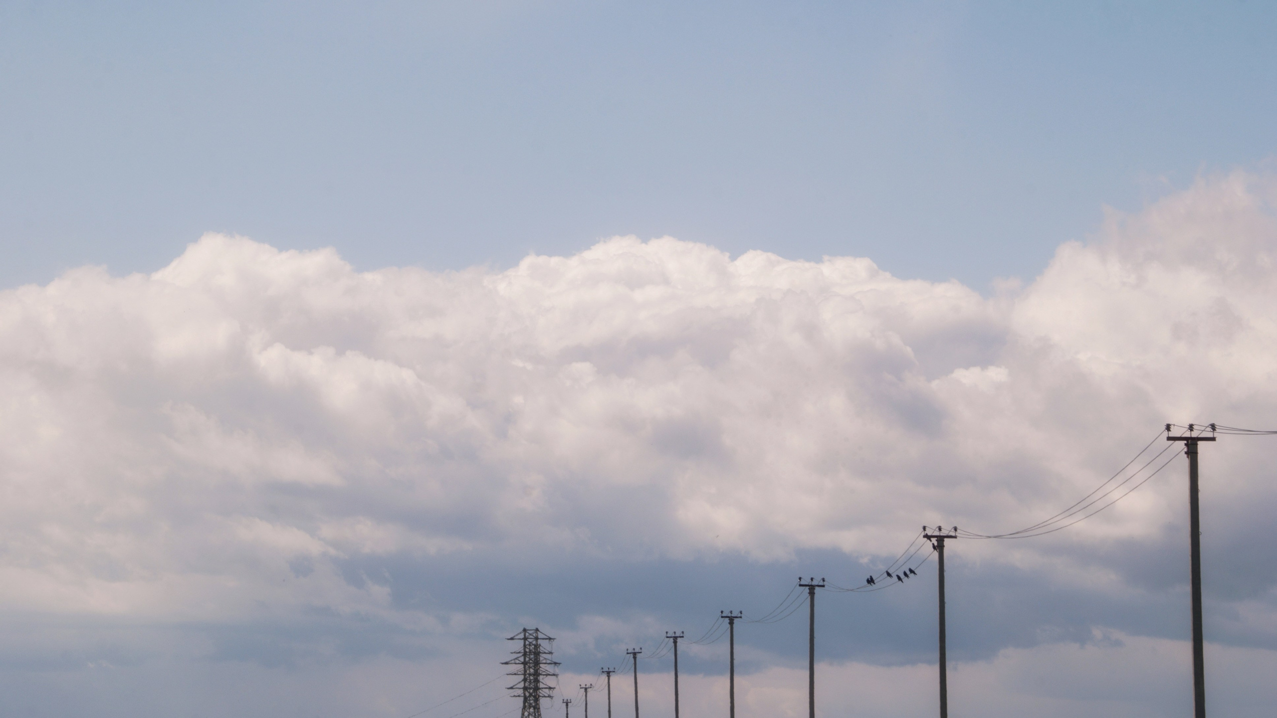 Этот прекрасный мир