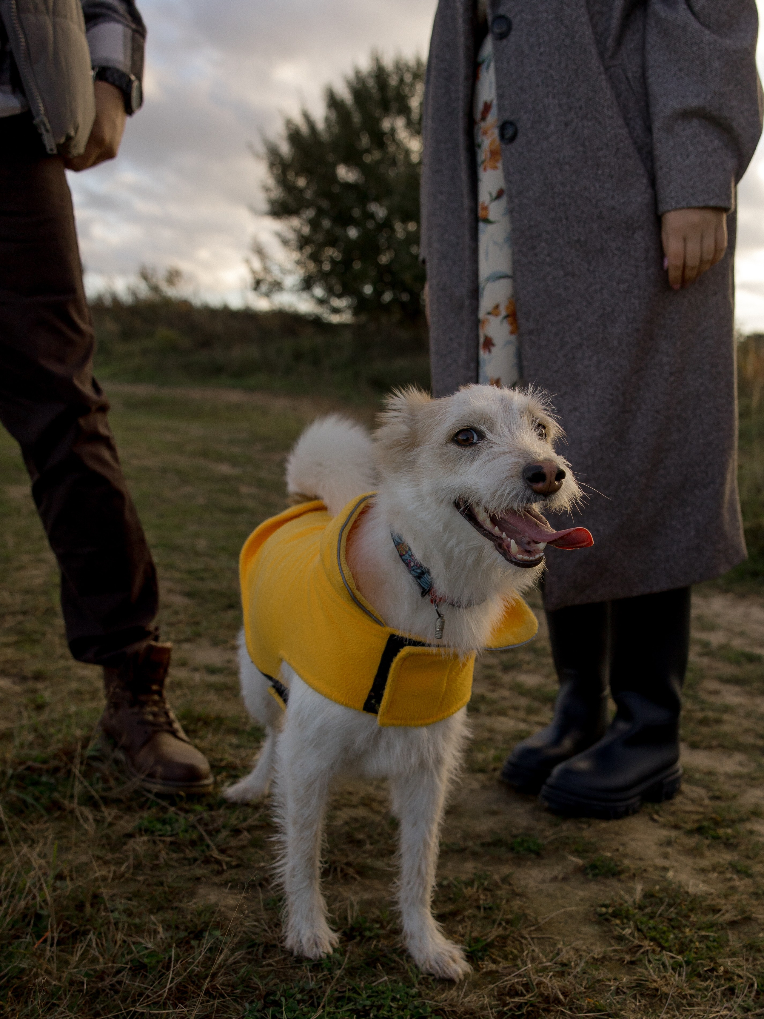 Трое, считая собаку. Wed Photographers 📷 Saint Petersburg