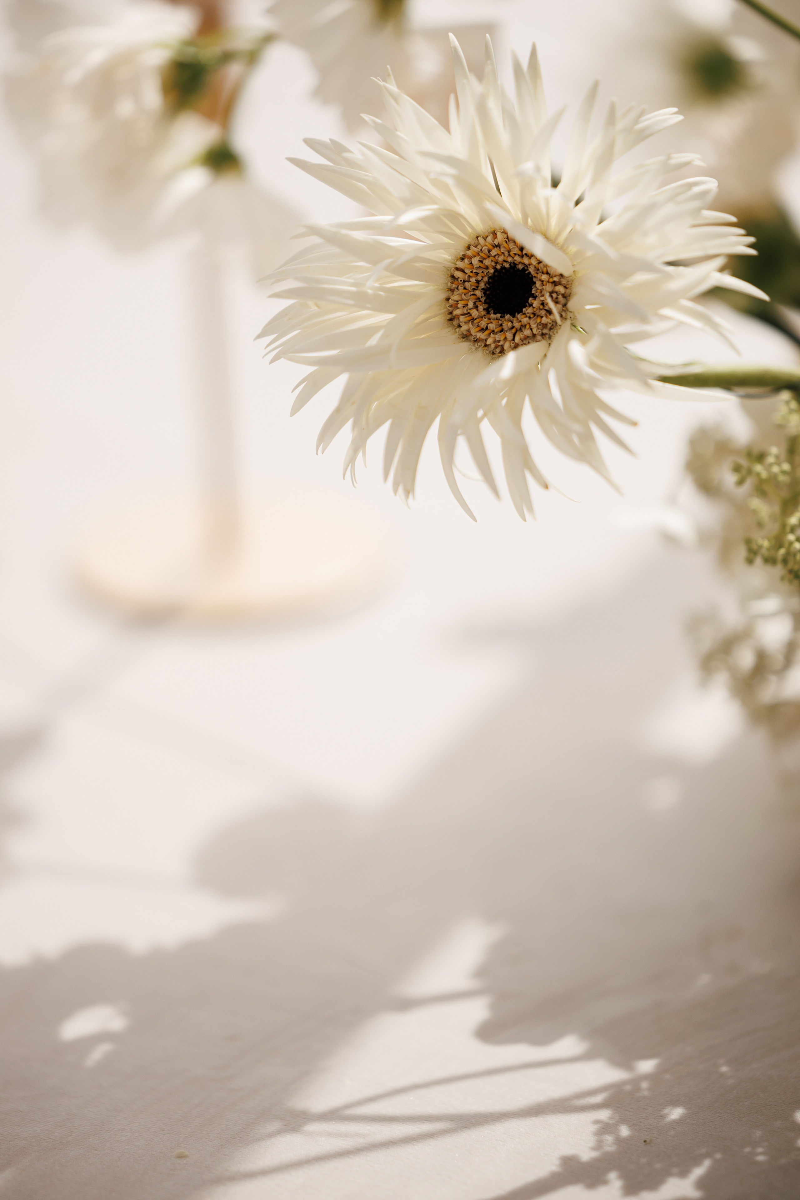 K & D. Свадебный и event-фотограф Иван Волнухин