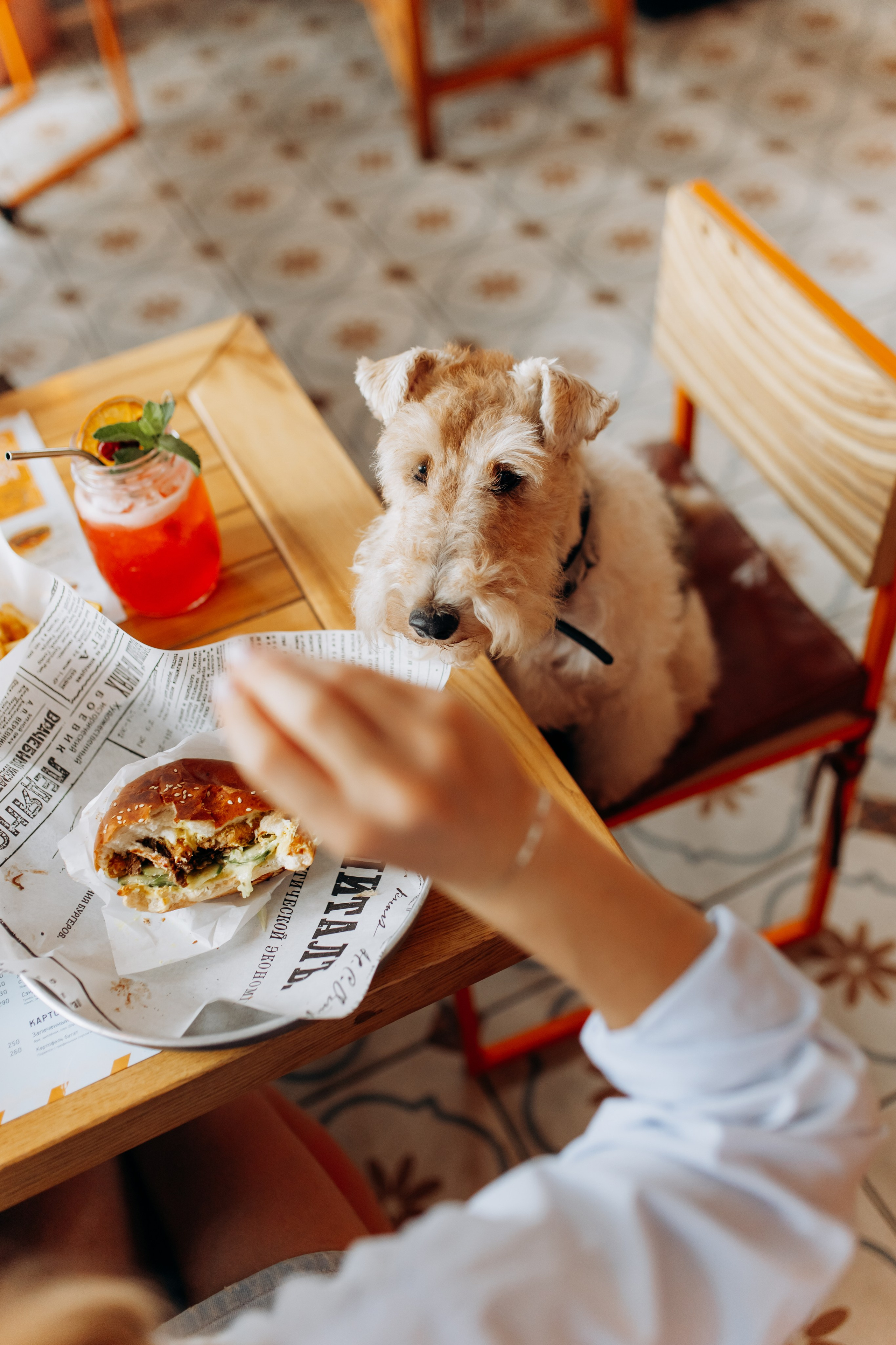 По бургеру в «Карл Маркс». Свадебный и семейный фотограф в Туле и области Маша Костина