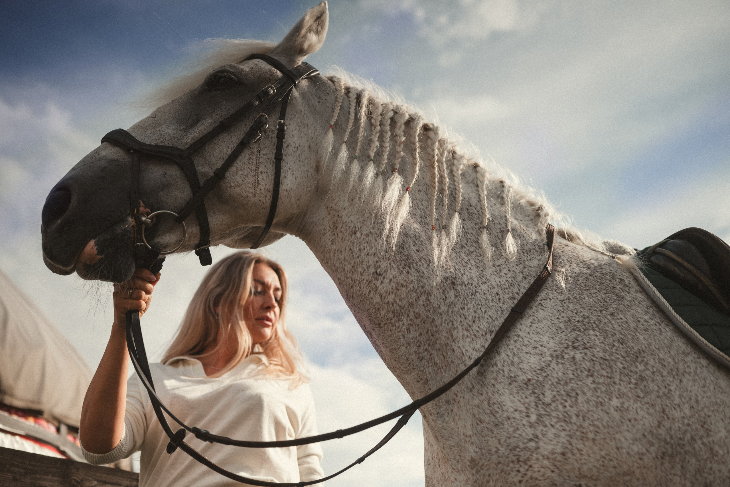Конные фотопрогулки. Профессиональный фотограф в Ярославле и Москве, Филинская Анастасия