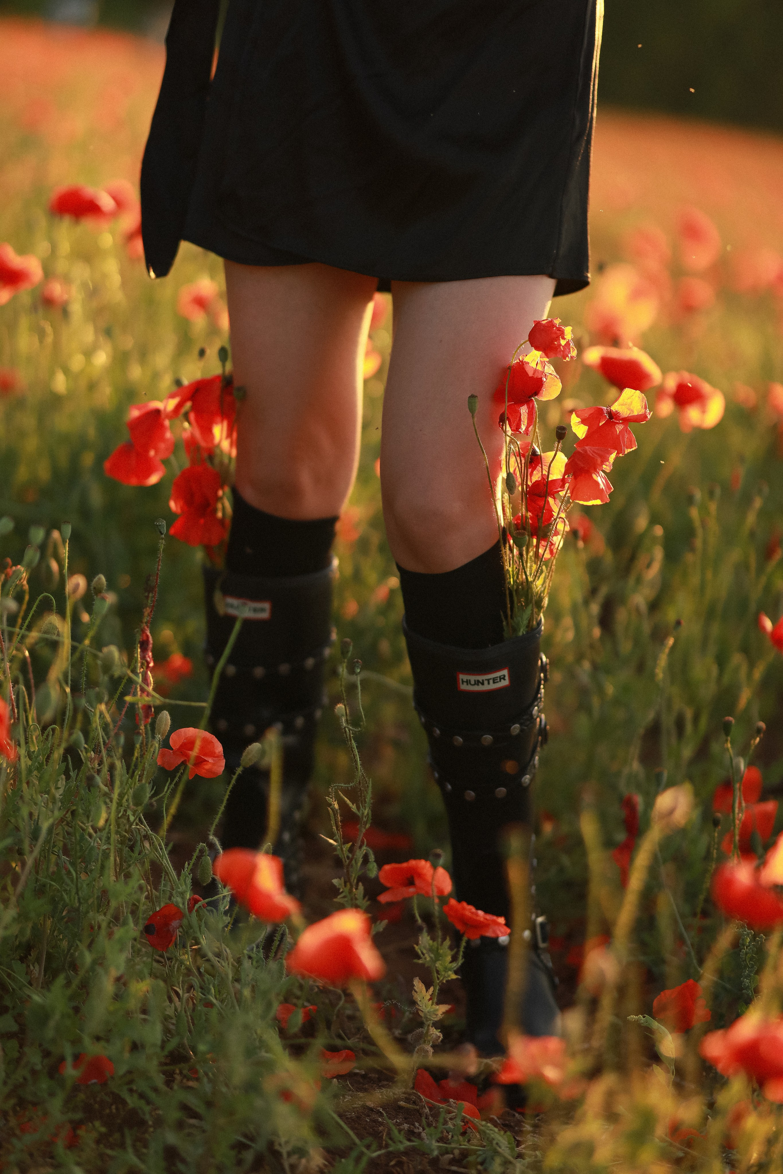 Настя в маках. Лена Колягина Фотограф по любви