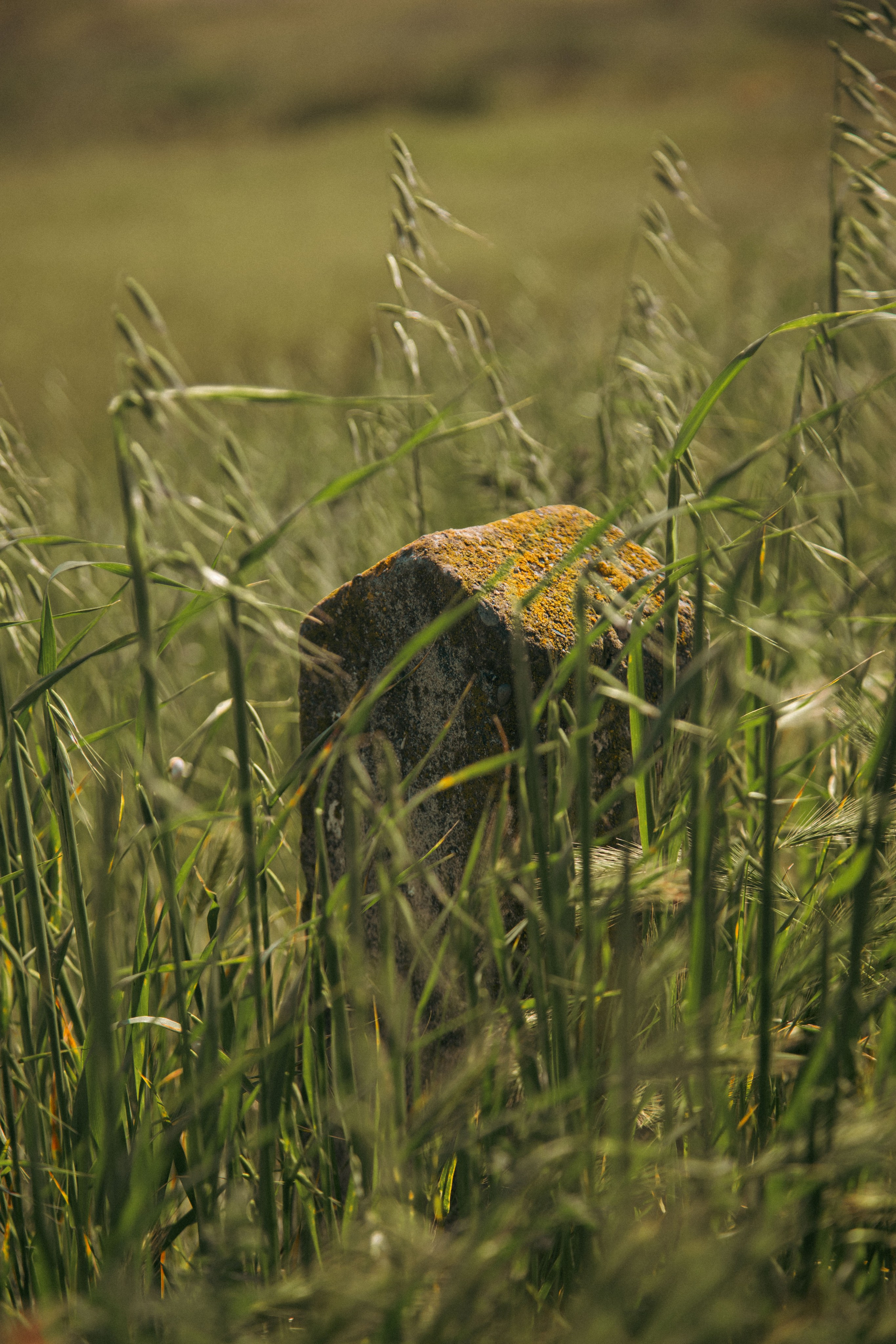 Новый Хушет. Dmitriy [KCCC] is a pretty cool photographer