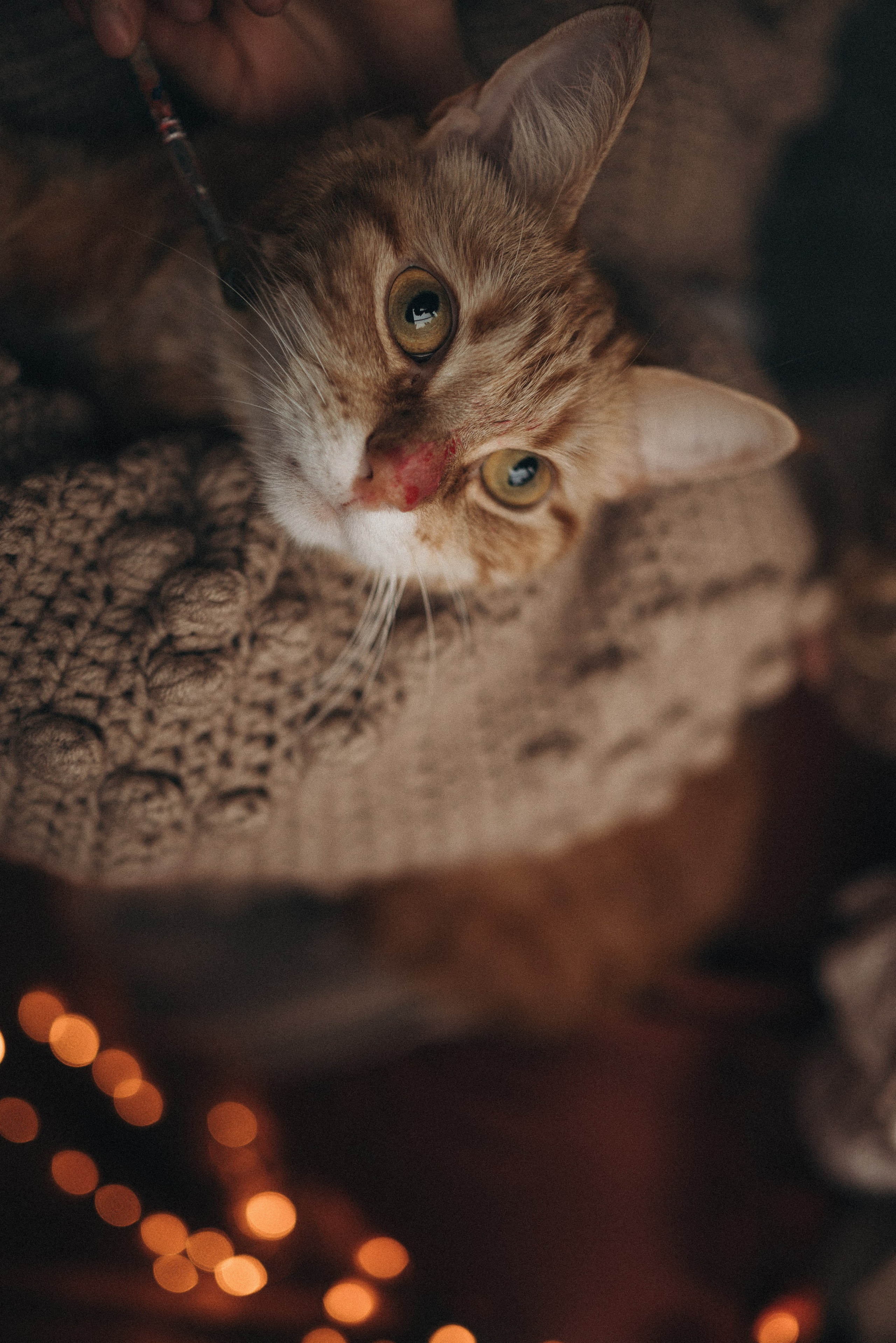 Домашняя фотосессия. Семейный фотограф Ростов-на-Дону Татьяна Соколова