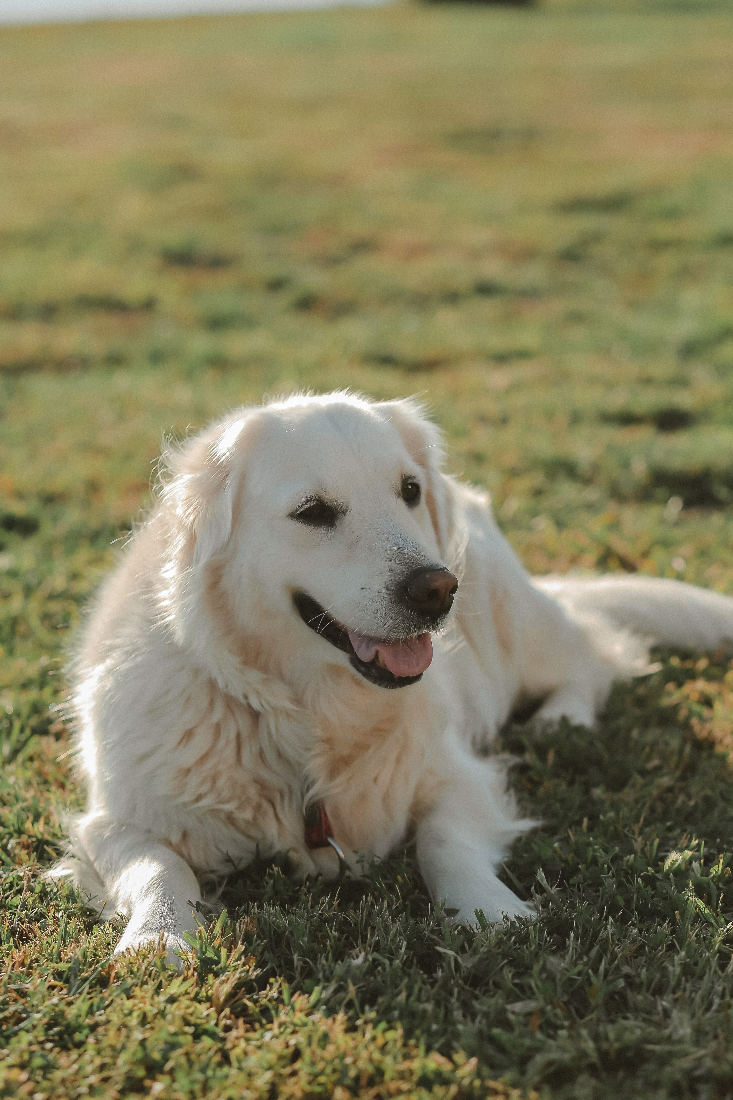ПРЕДЛОЖЕНИЕ. Фото и Видео в Краснодаре Verveyko Studio