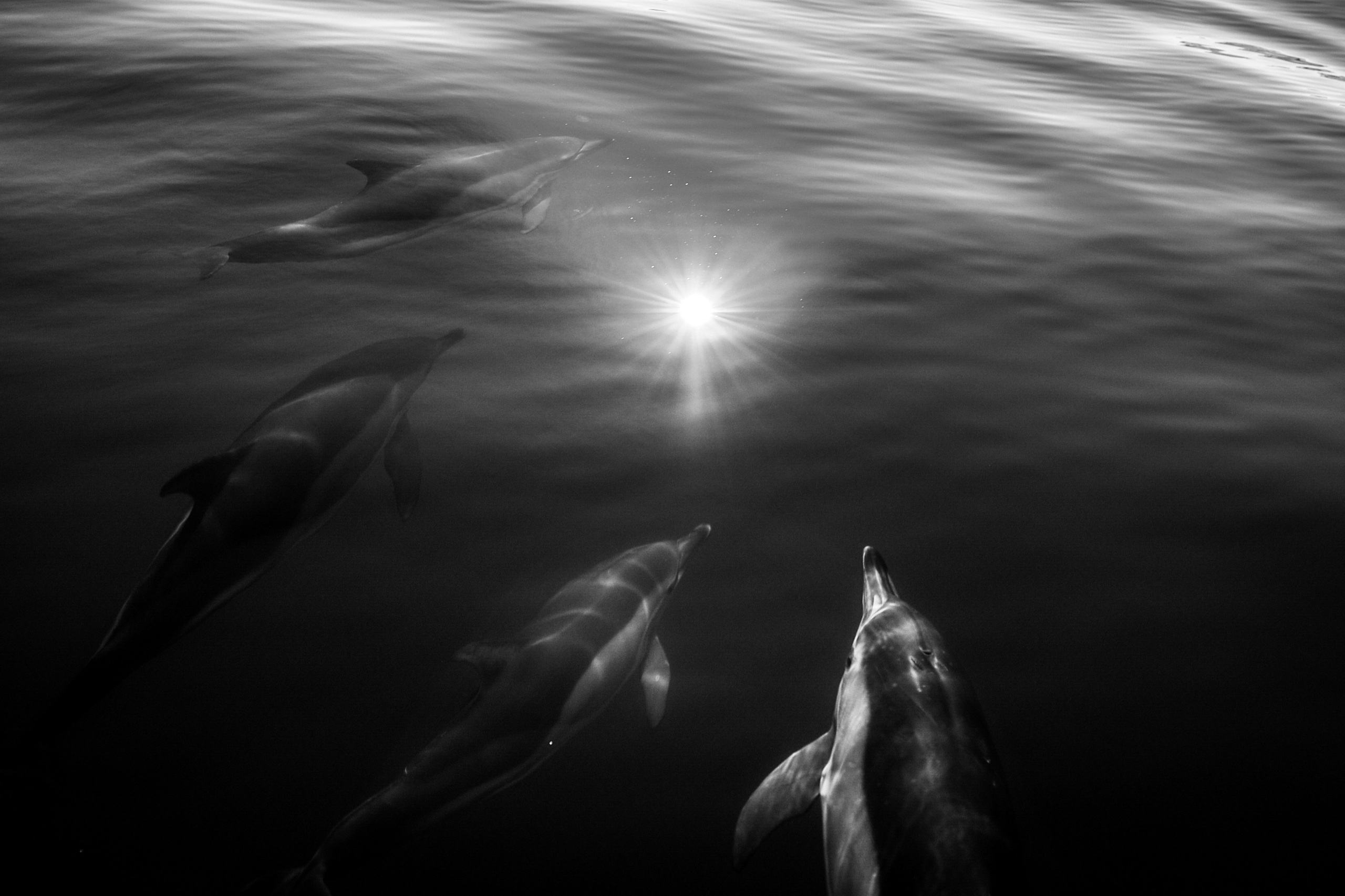 Wild and free. Anastasia Serdyuk, travel photographer, travel photo, portraits, stories, fineart prints