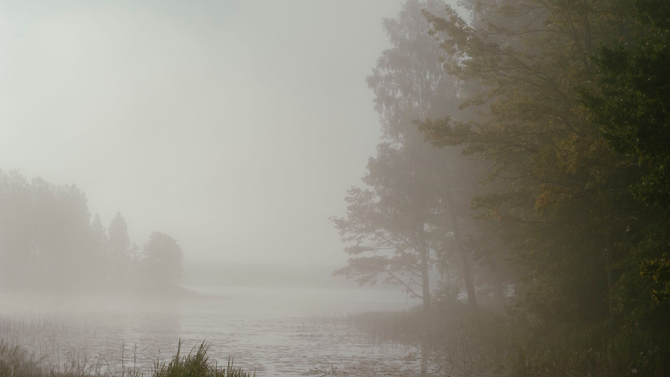 Фотограф Артем Севостьянов. Профессиональная фотосъемка в Ногинске, Москве, Московской области и за границей