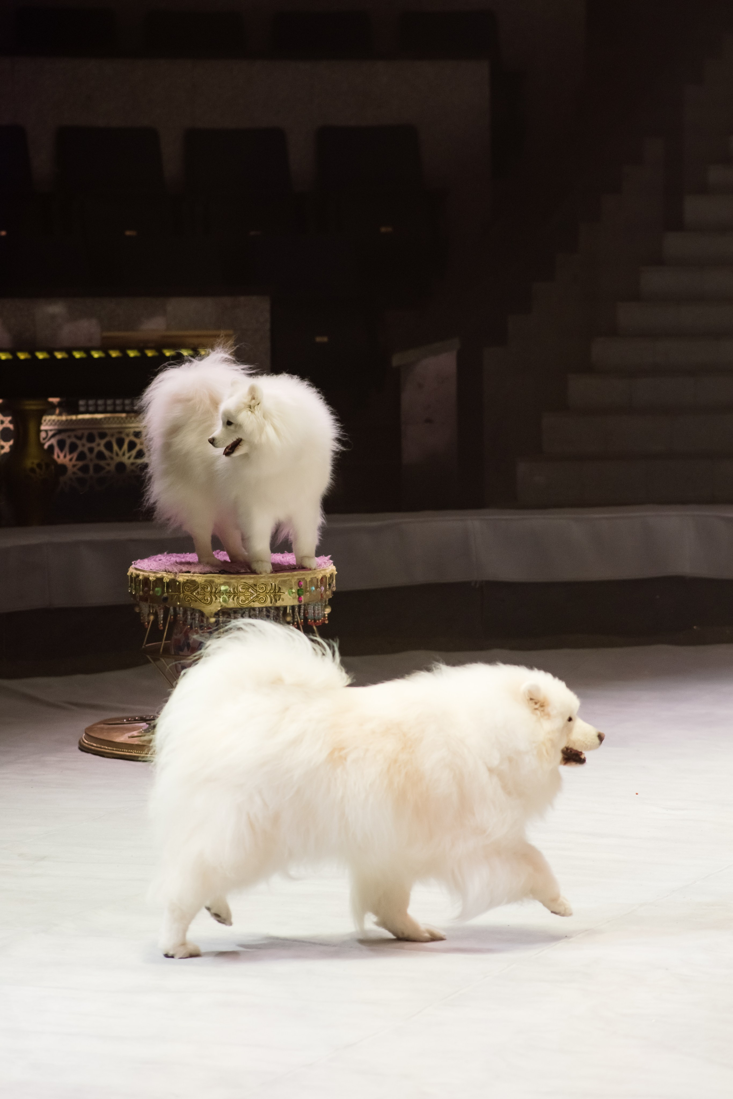 Репортаж. Фотограф Новосибирск Анна Рождественская