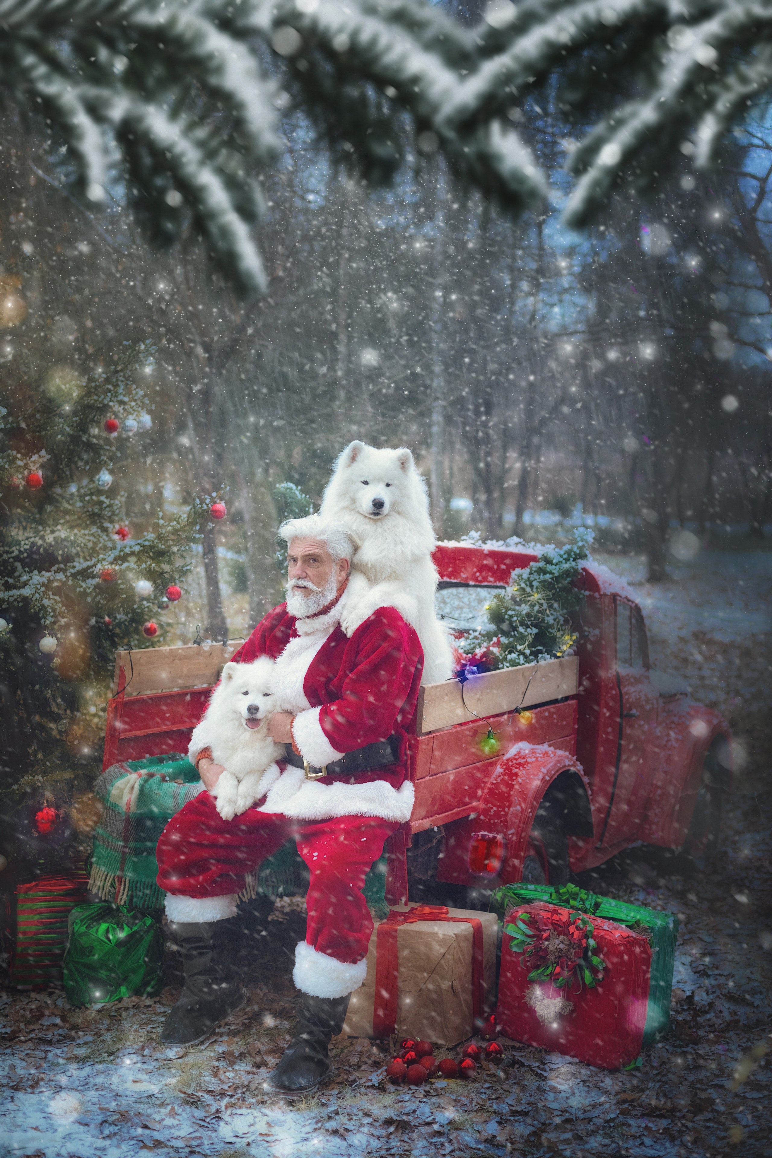 Фотографии. Творческая студия «Махавик». Свадебная фото и видеосъёмка в Подольске