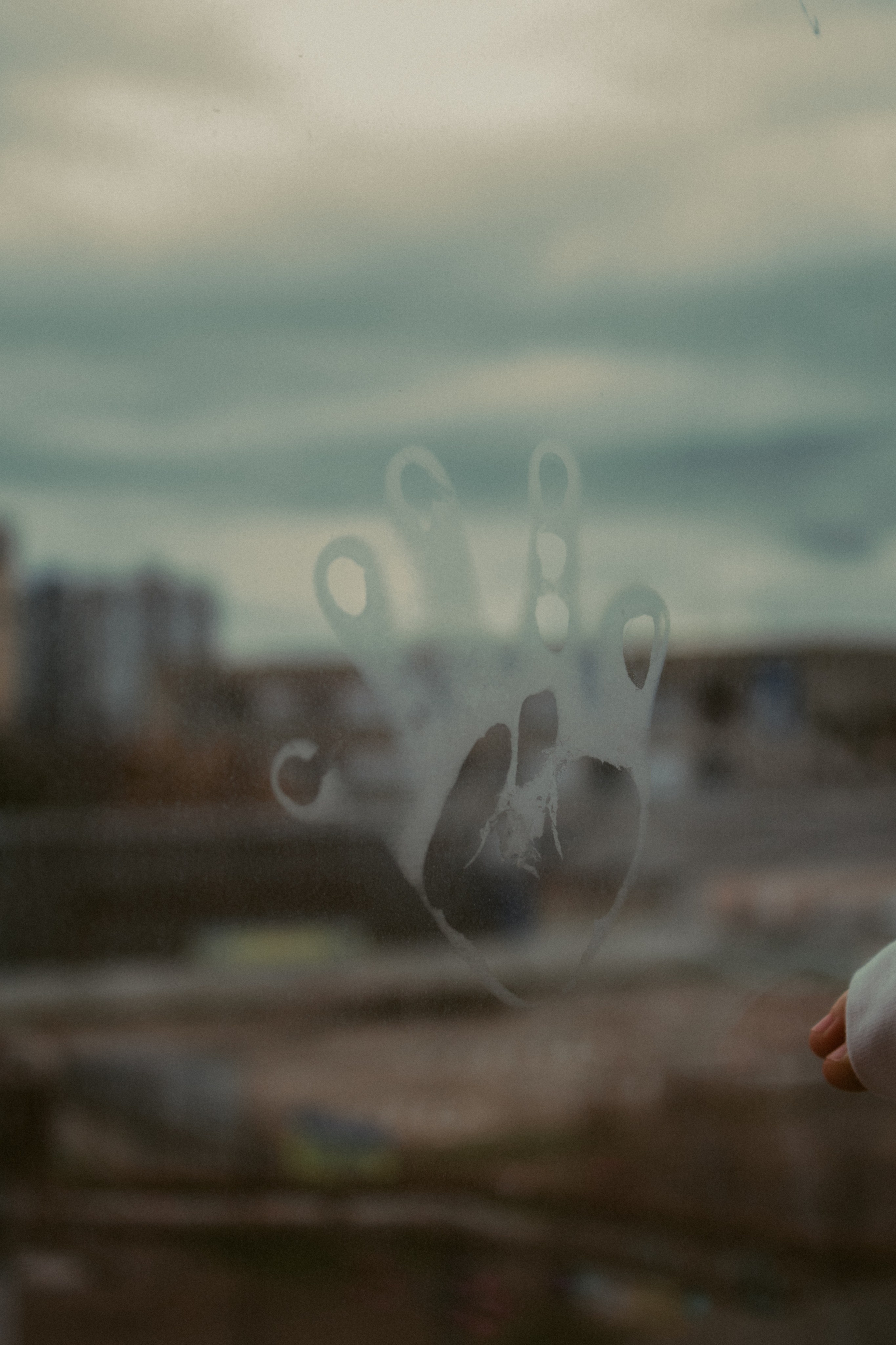 Лиза&Варя. Inga Simonova | Семейный и детский фотограф