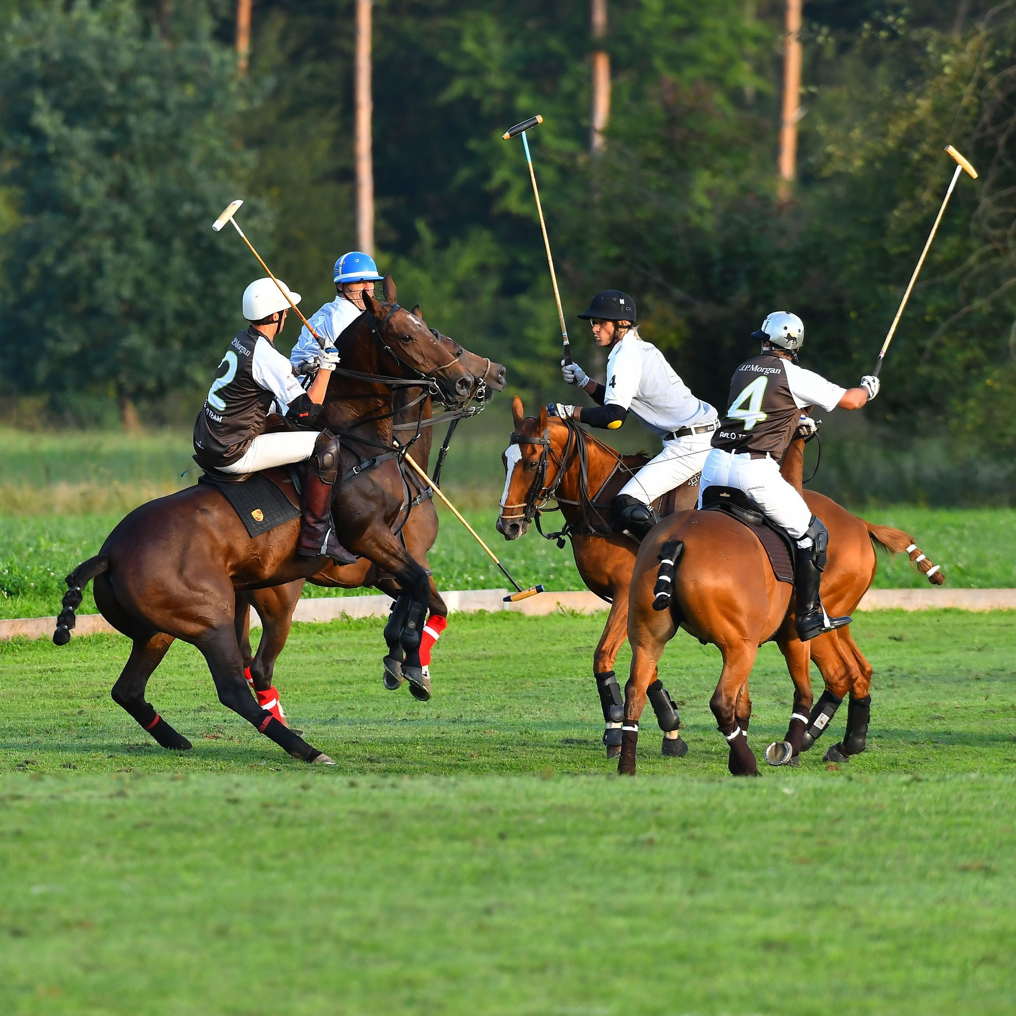 Polo art photos. Art photos of horses — ARTUR BABOEV | Photographer