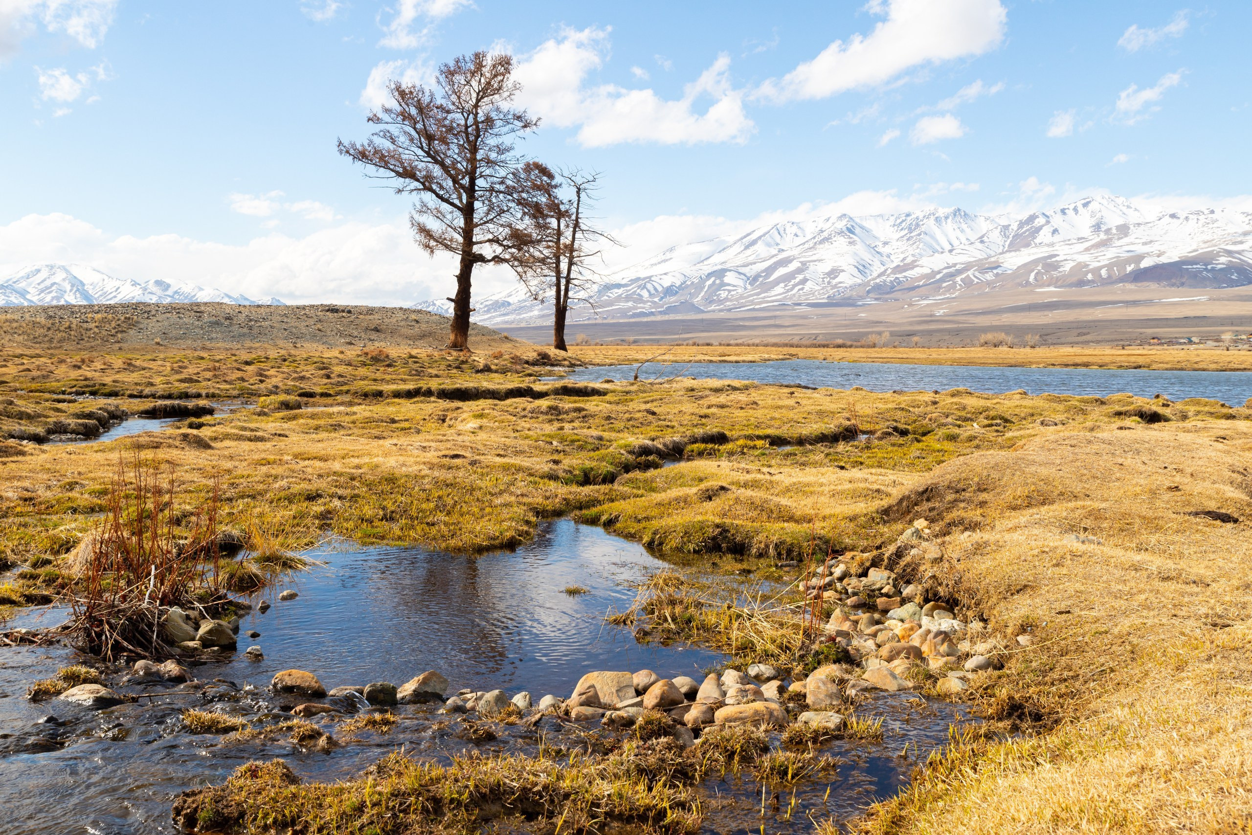 Горный Алтай. Фотограф в Кемерово Анна Оськина
