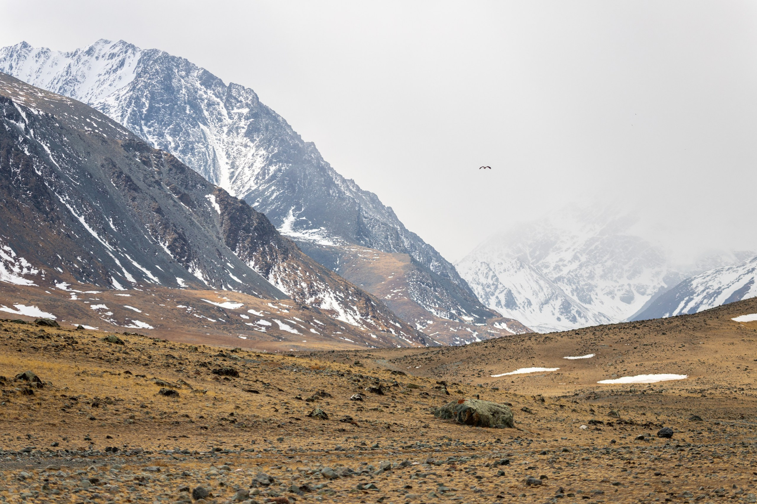 Горный Алтай. Фотограф в Кемерово Анна Оськина