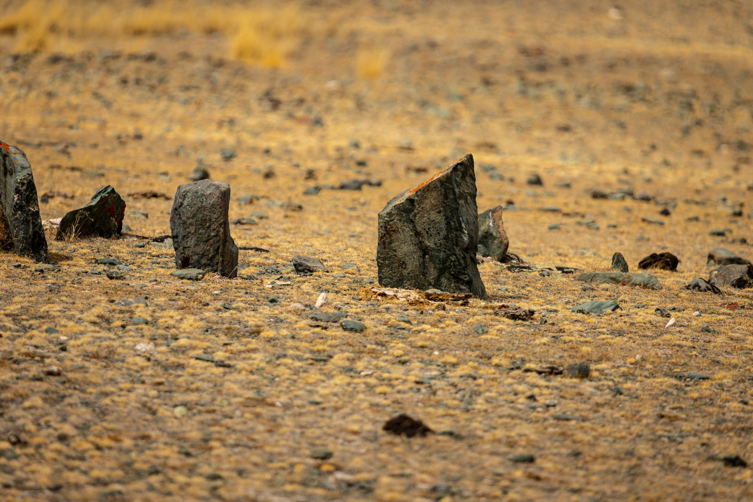 Горный Алтай. Фотограф в Кемерово Анна Оськина