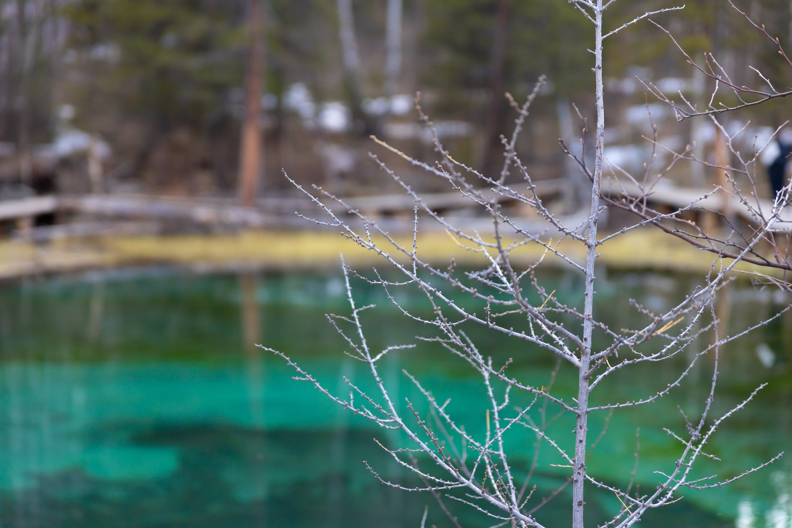 Горный Алтай. Фотограф в Кемерово Анна Оськина