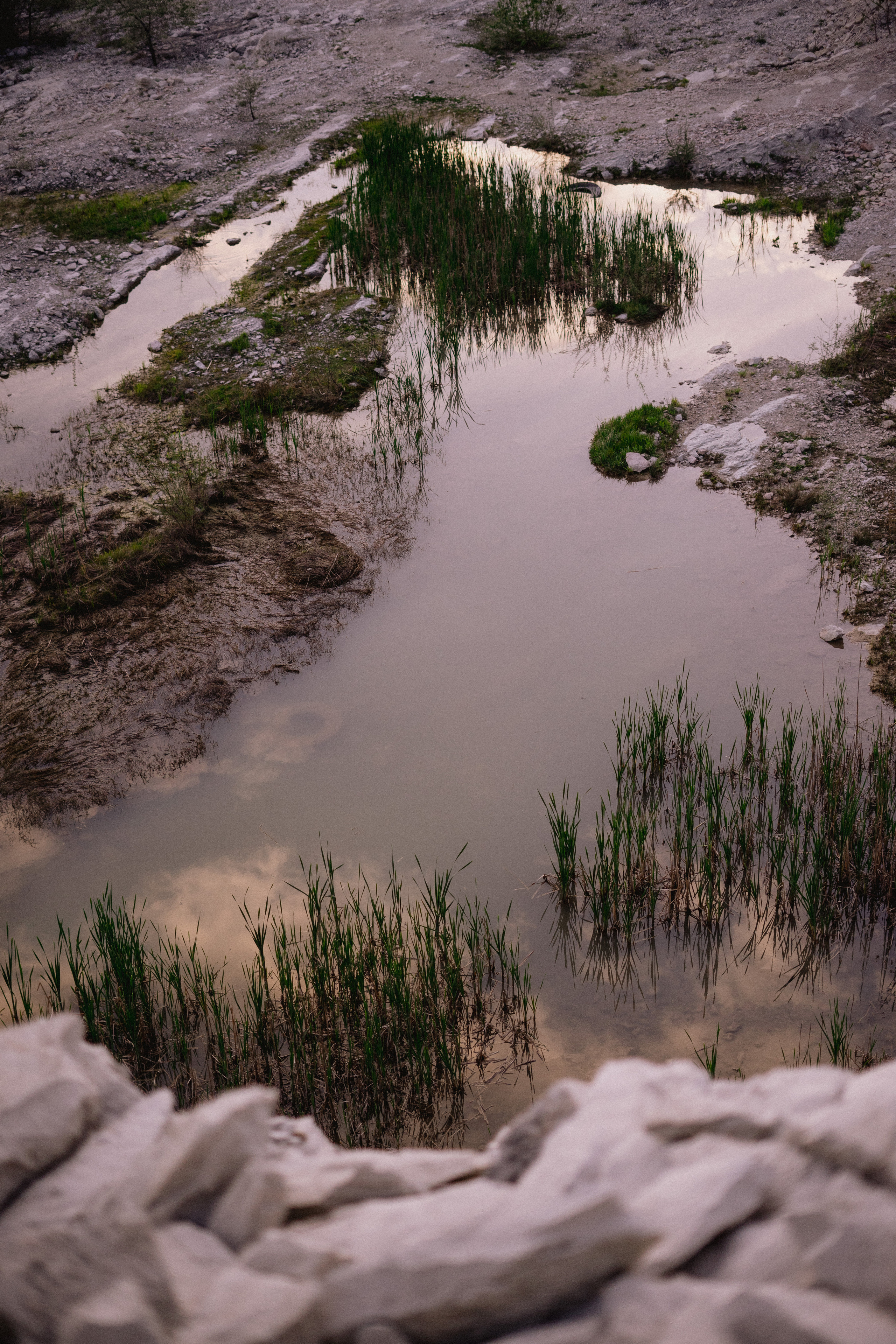 Ираклий и Анечка. Фотограф в Сочи Щетинина Анастасия