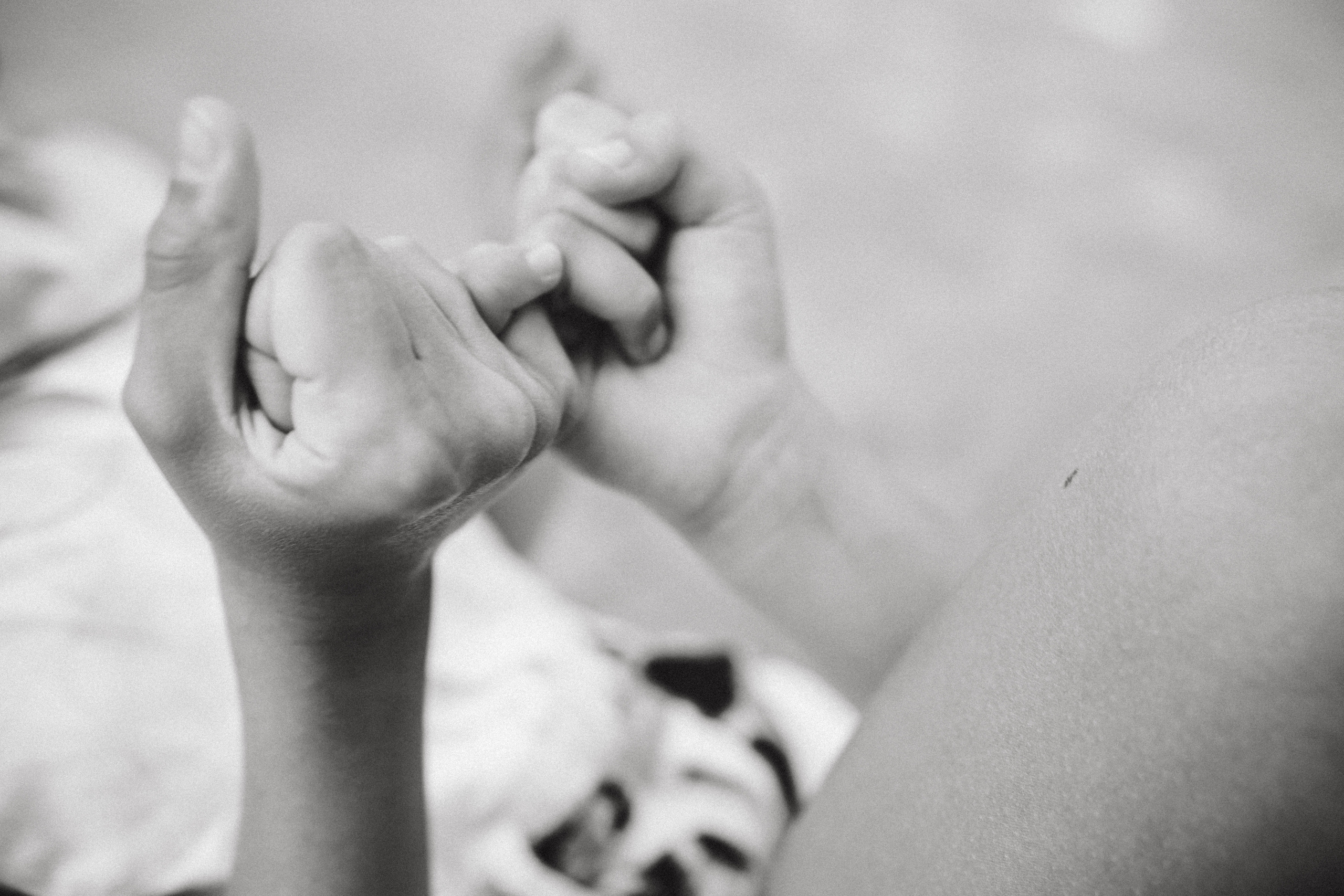 Михаил, Дарья, Варвара, Софья и Майя прогулка. Фотограф в Сочи Щетинина Анастасия