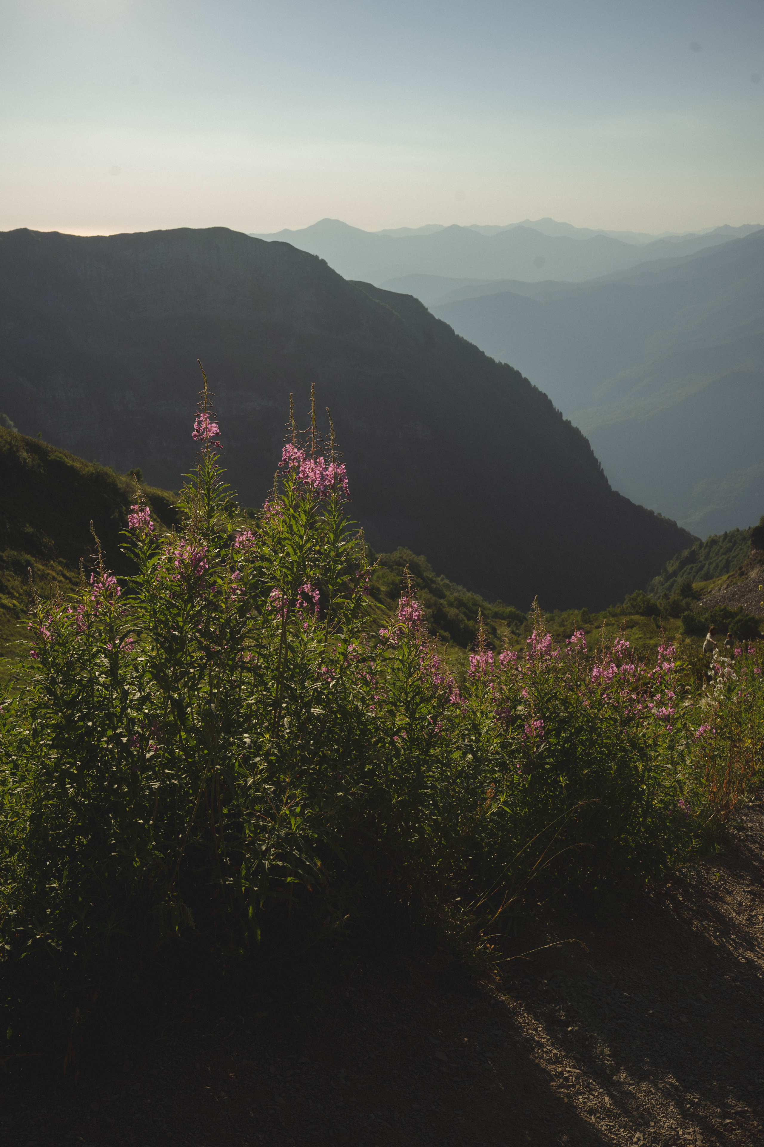 Наташа. Фотограф в Сочи Щетинина Анастасия