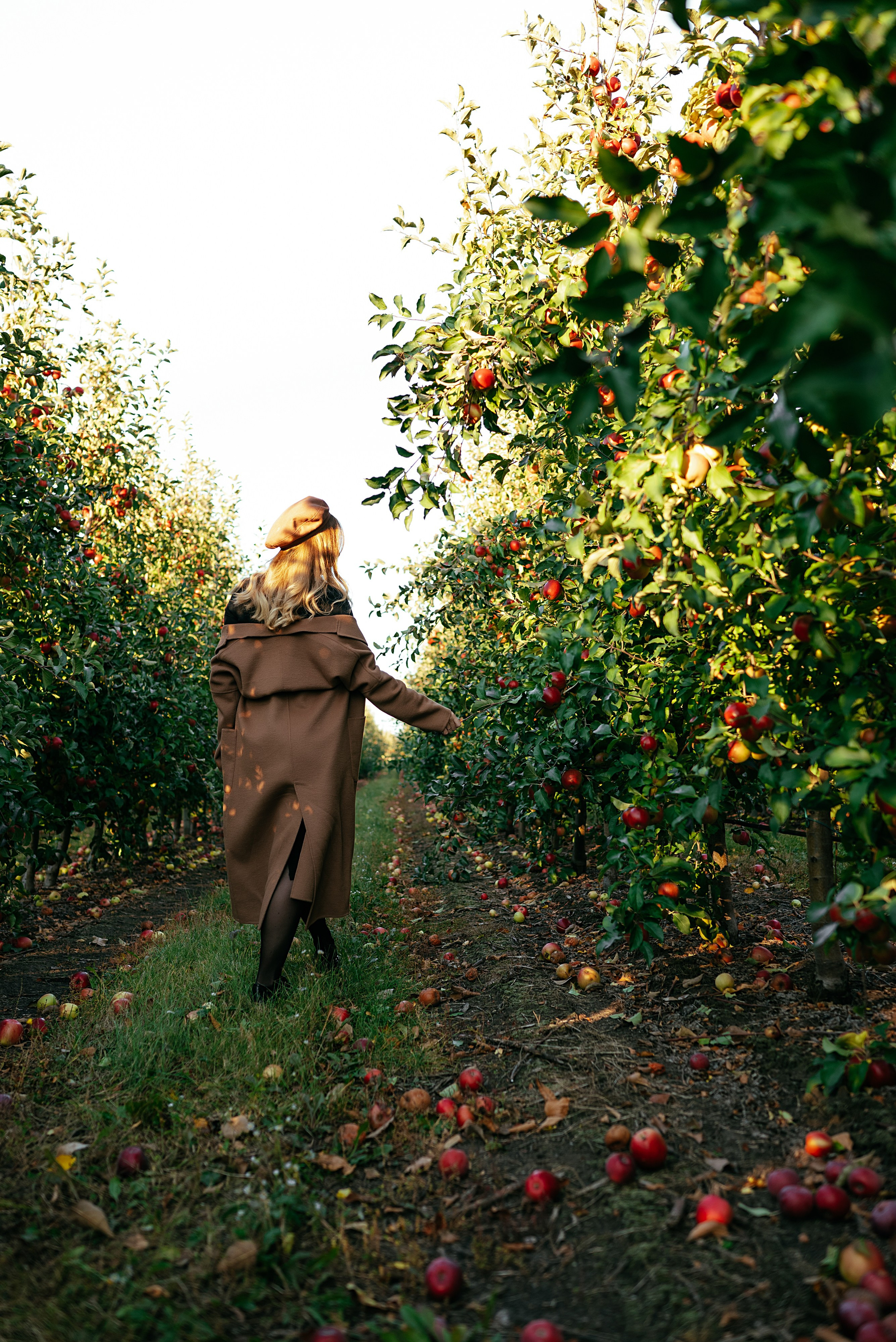 Anastasia & Dima. Семейный и детский фотограф в Белгороде Ольга Сорока