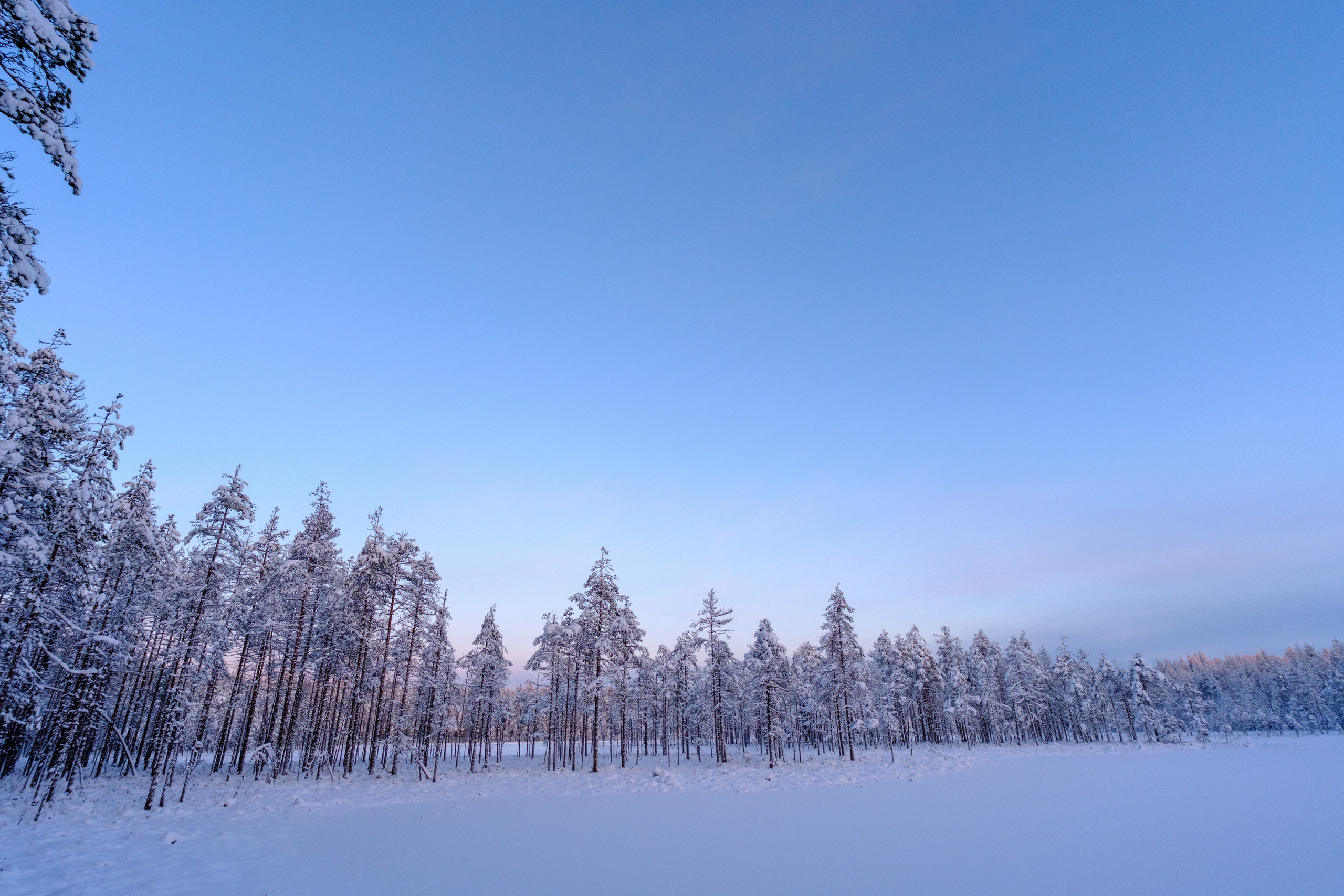 Пейзаж. Портретный фотограф Виктор Льерена
