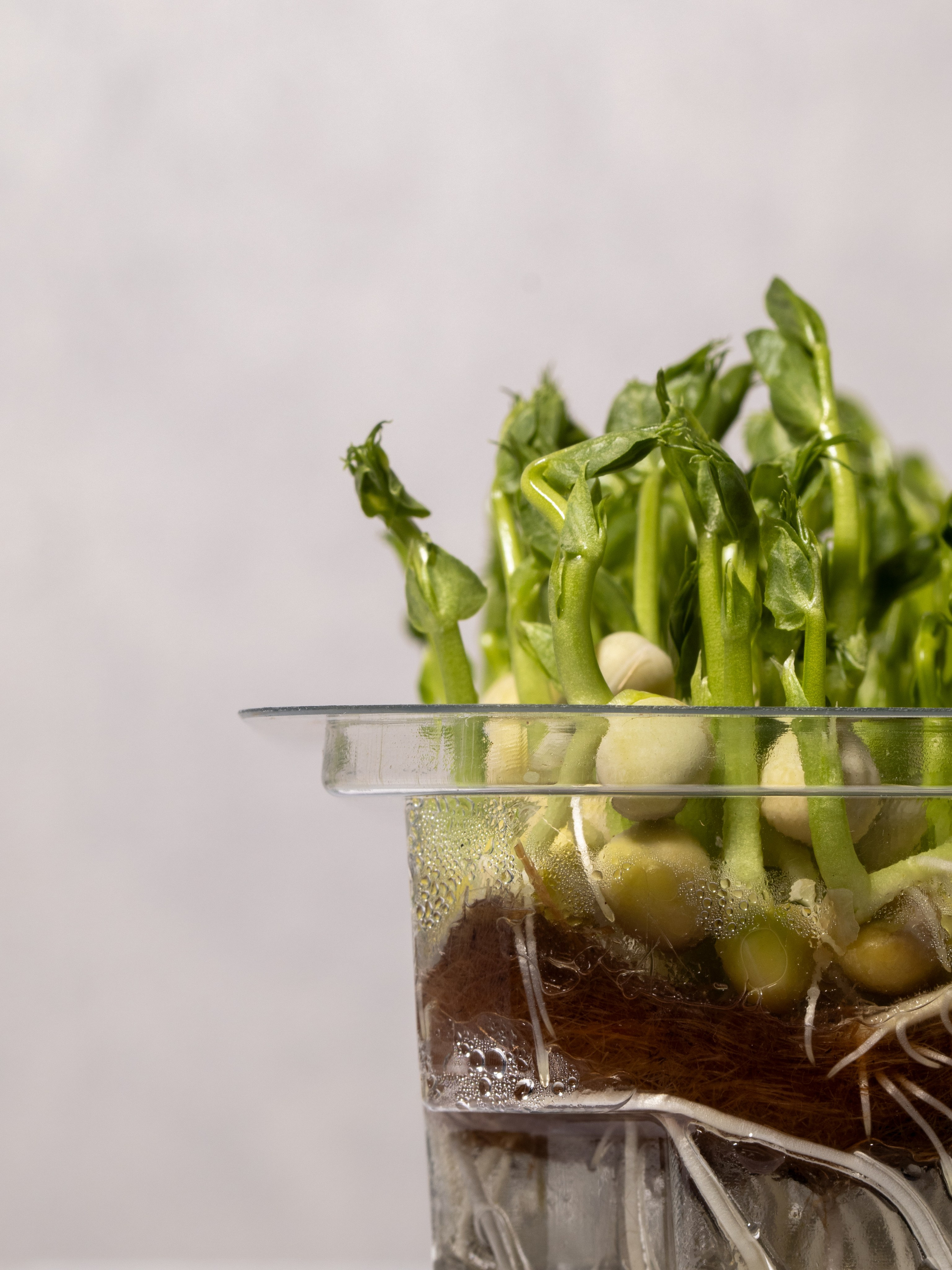 Фуд фото, съёмка блюд для меню, съёмка еды, съёмка для ресторанов. Предметный, фуд фотограф в Омске. Панкова Евгения